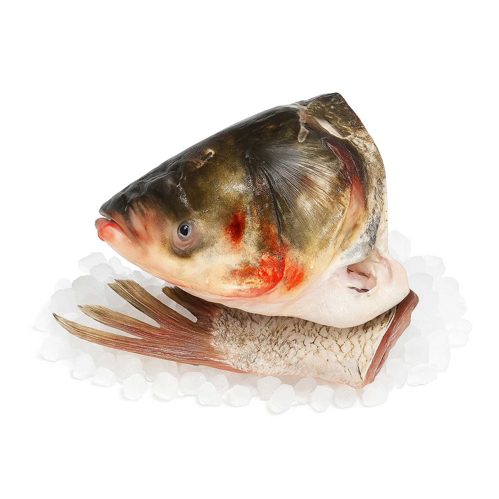 Риба Товстолоб набір для ухи на льоду Фото №:1