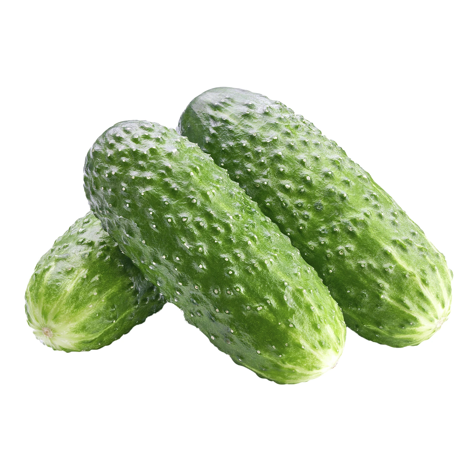 Огірок Фото №:1