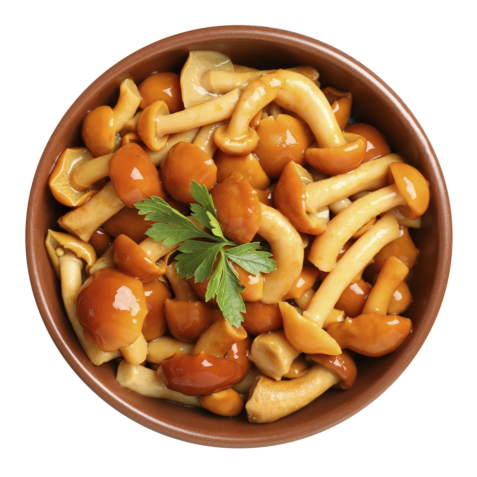 Гриби Опеньки мариновані Фото №:1