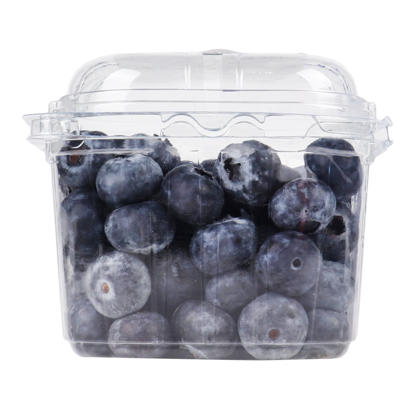 Лохина Flora 250г Фото №:1