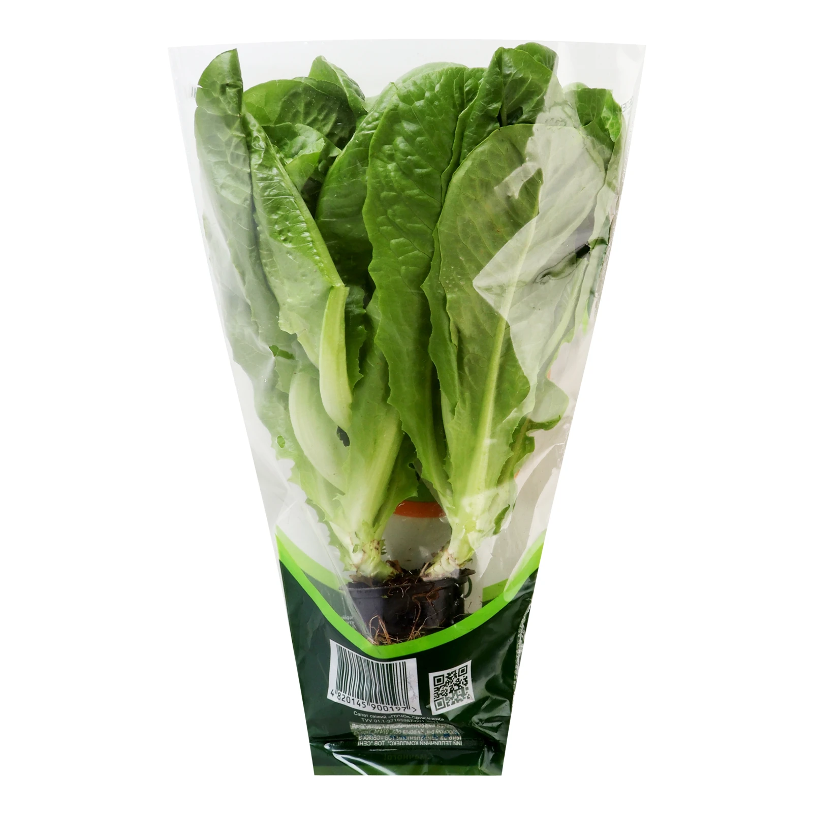 Салат Пучок-Свіжачок ромен 1шт Фото №:2