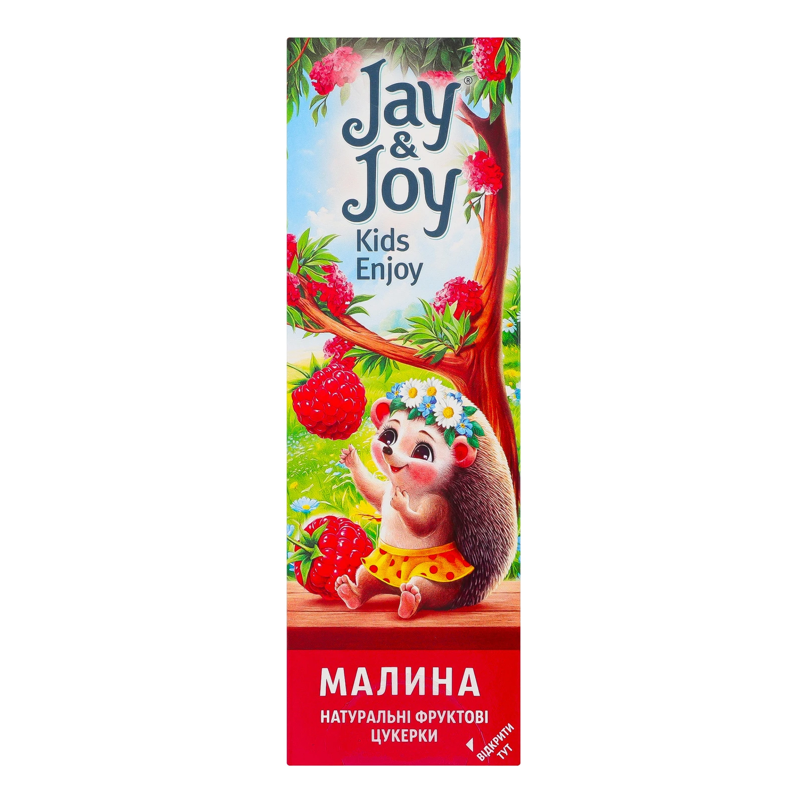 Цукерки фруктові Jay&Joy пастила натуральна Малина 32г Фото №:2