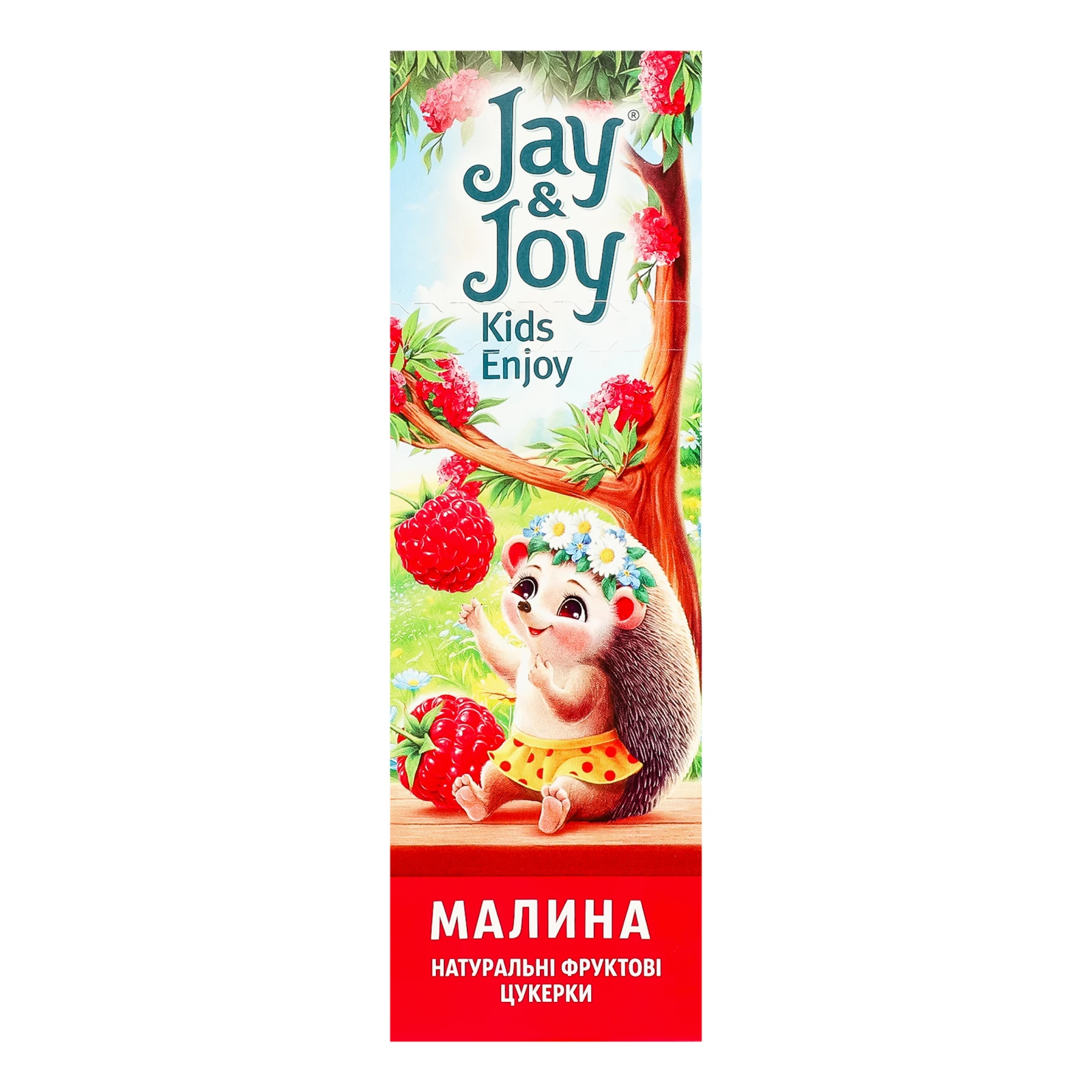 Цукерки Jay&Joy фруктові пастила натуральна Малина 32г фото 2