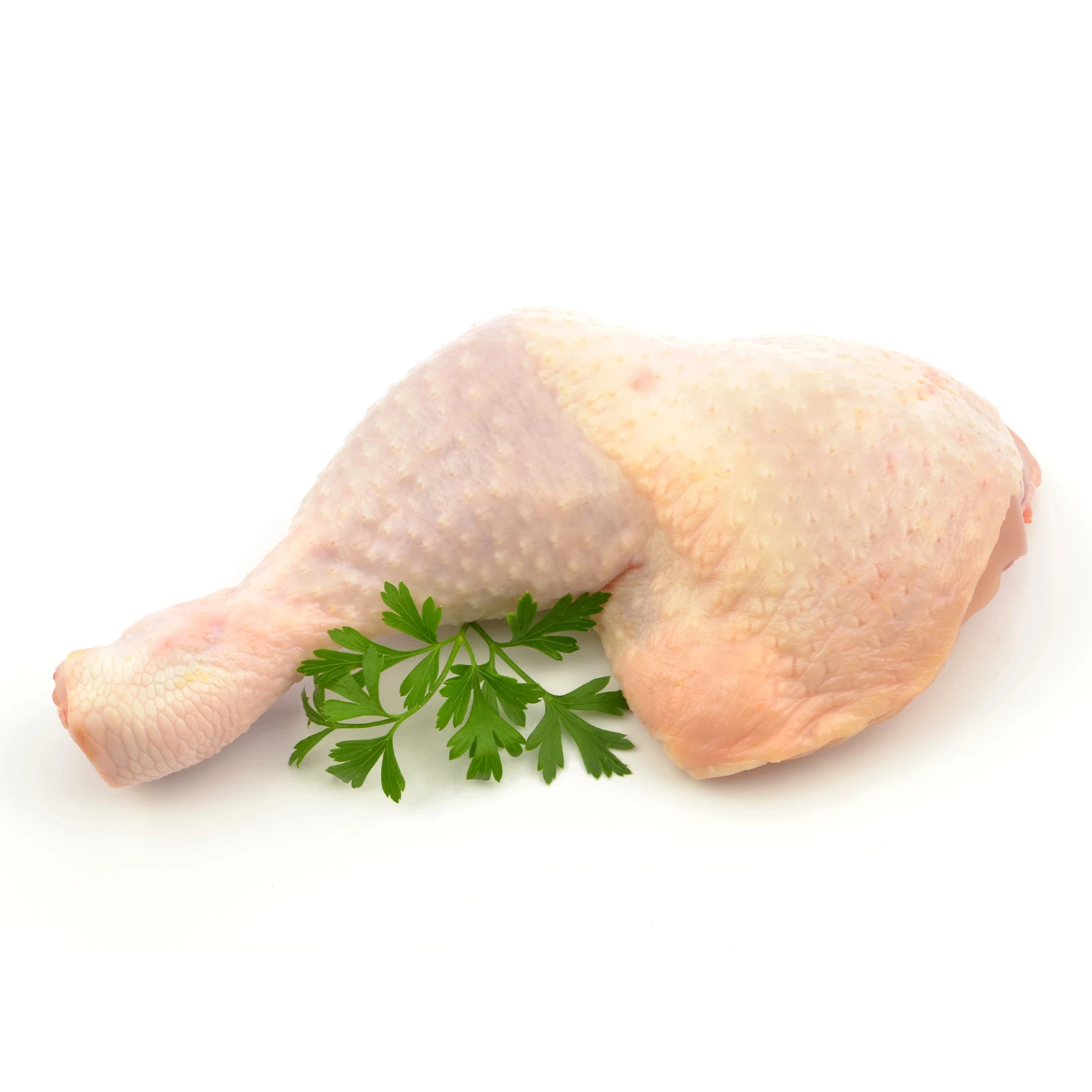 Ніжка куряча Курка по-домашньому охолоджена Фото №:1