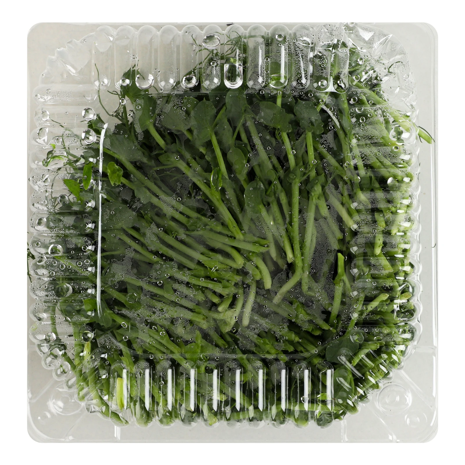 Мікрозелень Зелений Шеф Горох 50г Фото №:2