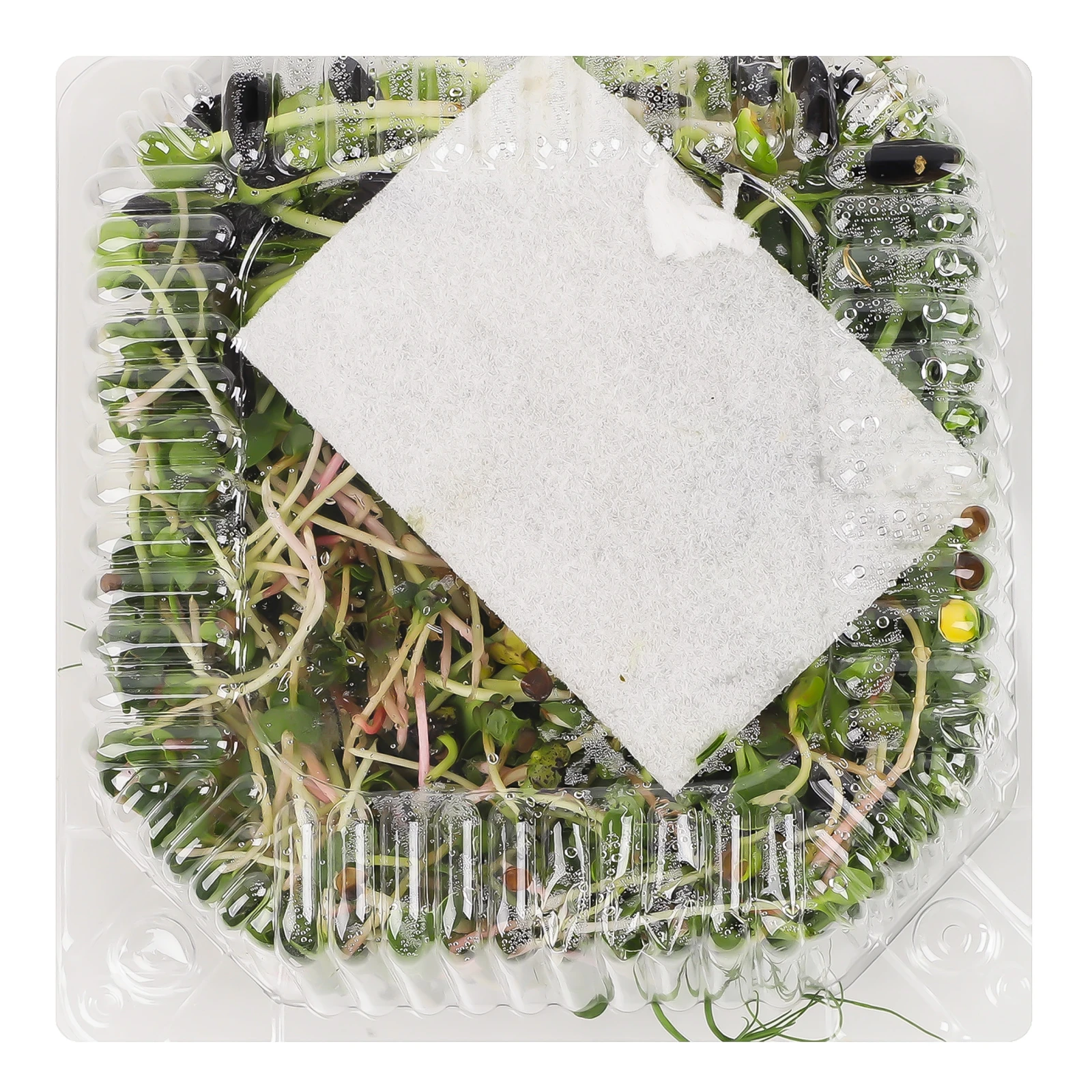 Мікрозелень Зелений Шеф Мікс 50г Фото №:2