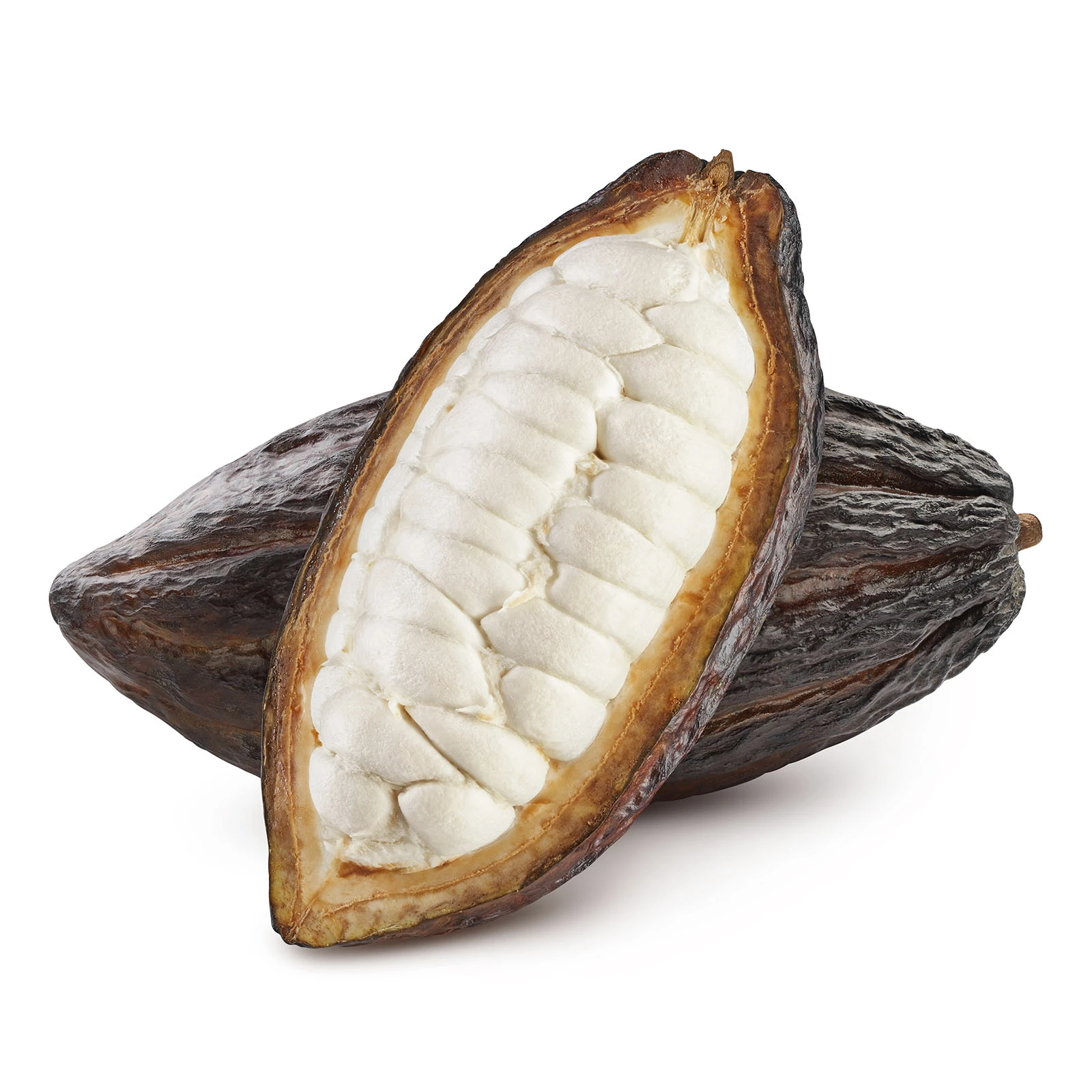 Какао фрукт Фото №:1