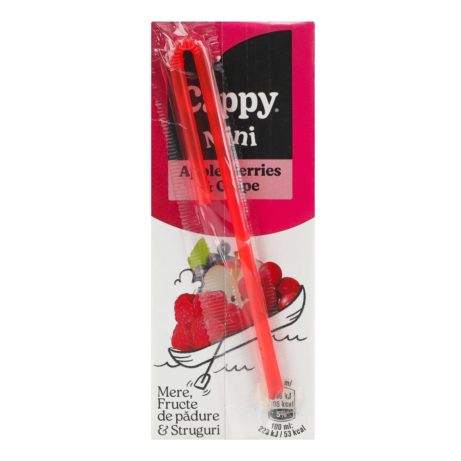 Нектар Cappy Mini стерилізований Яблуко-ягоди-виноград 200мл Фото №:2