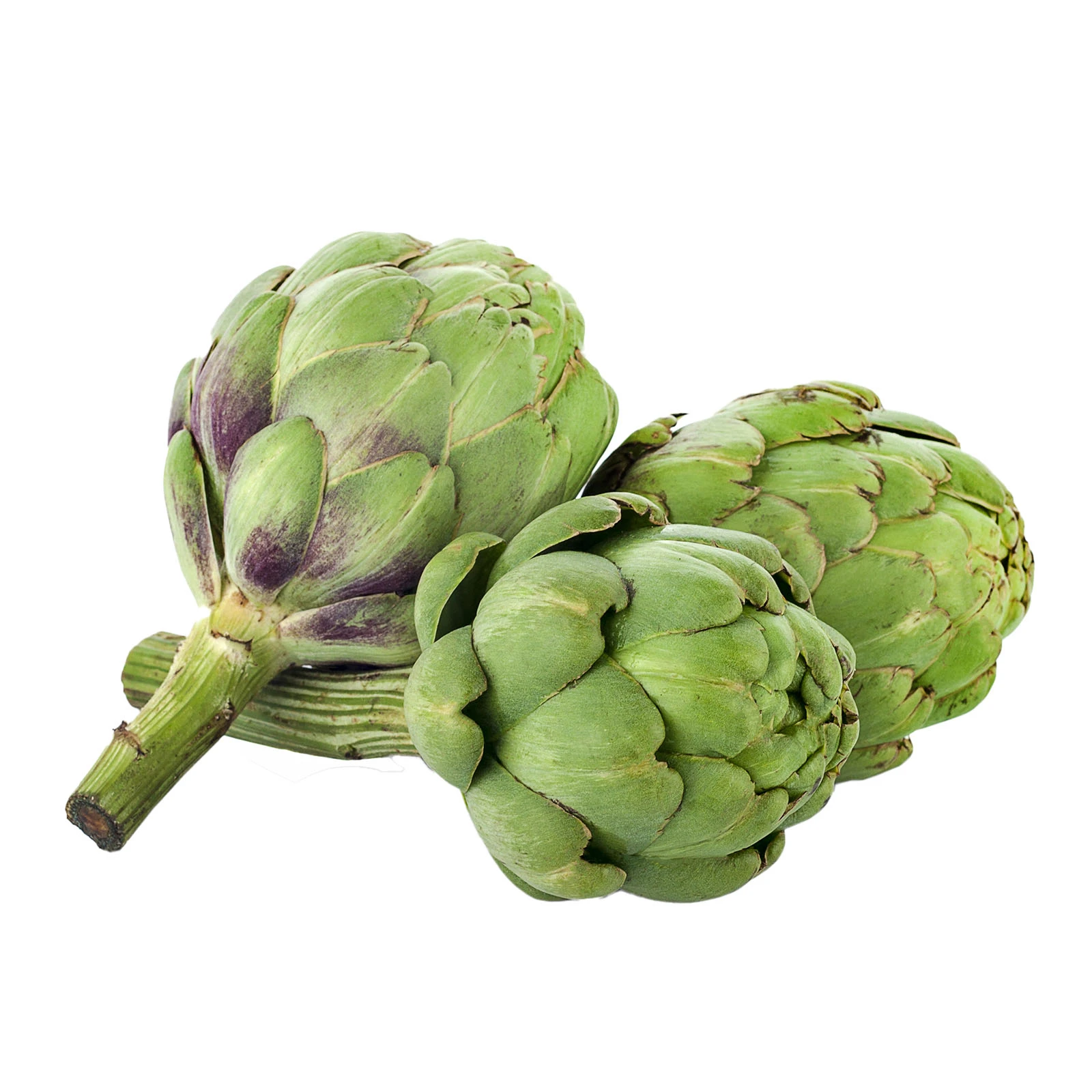 Артишок Фото №:1