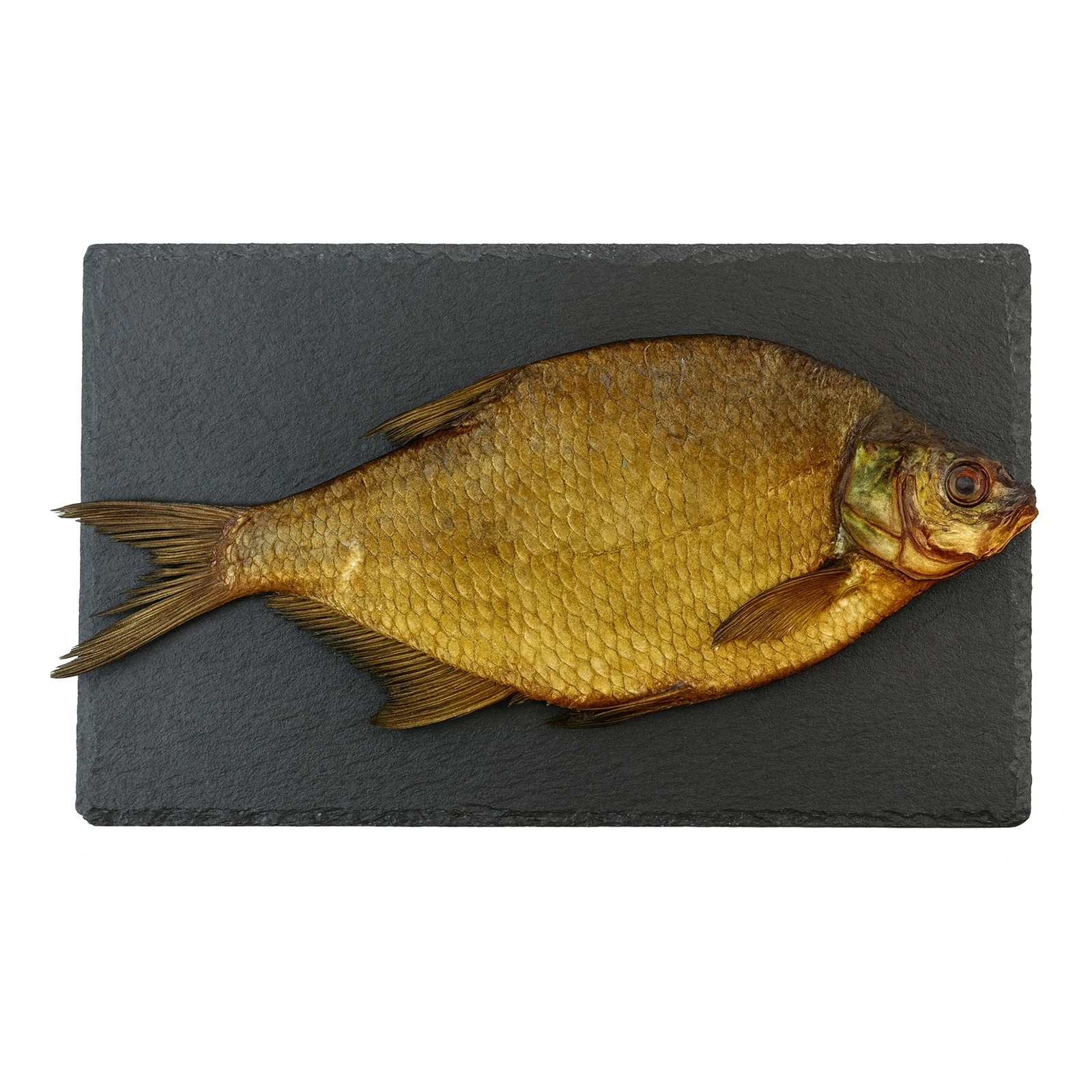 Риба Лещ метелик Green Marine х/к Новинка Фото №:1