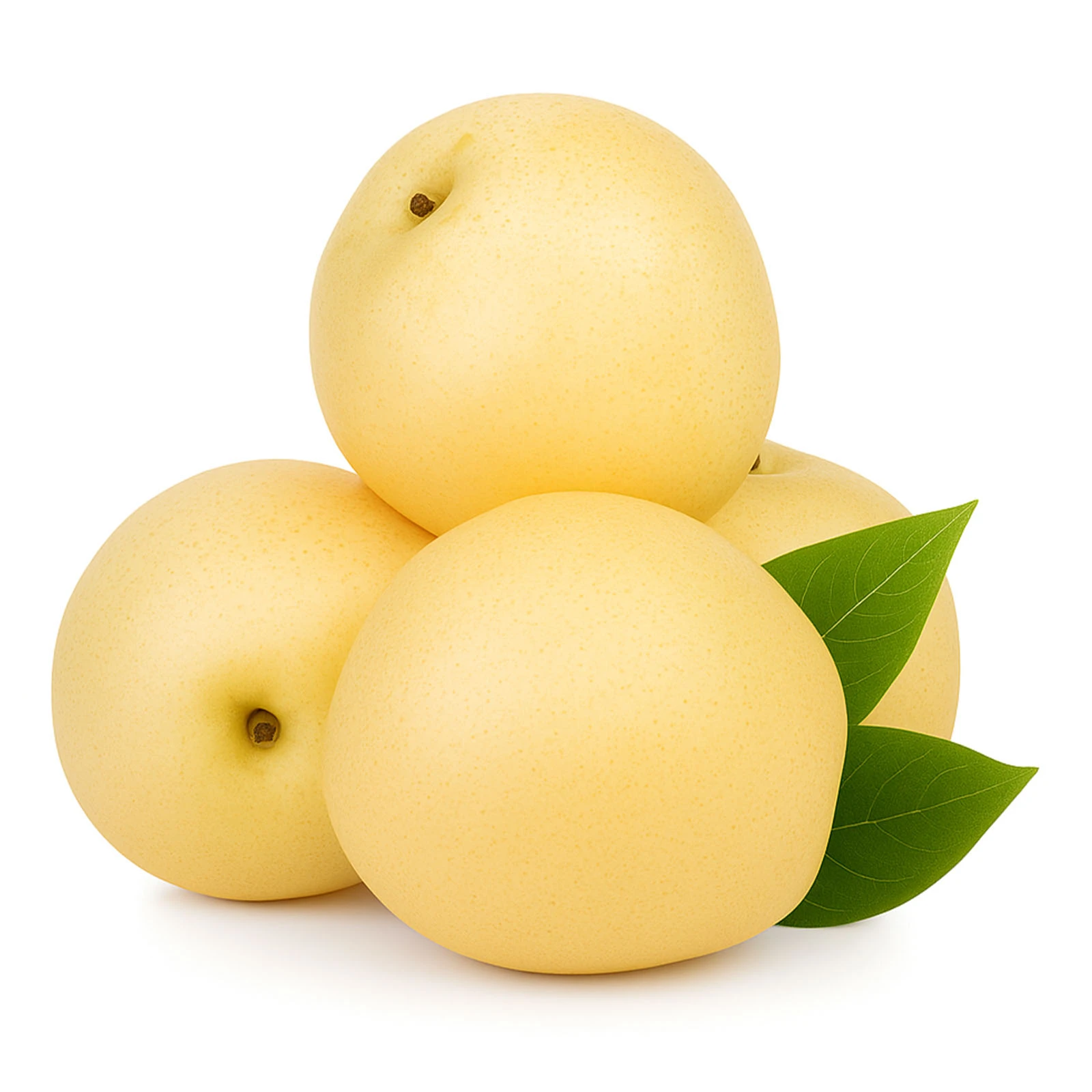 Груша Nashi Фото №:1