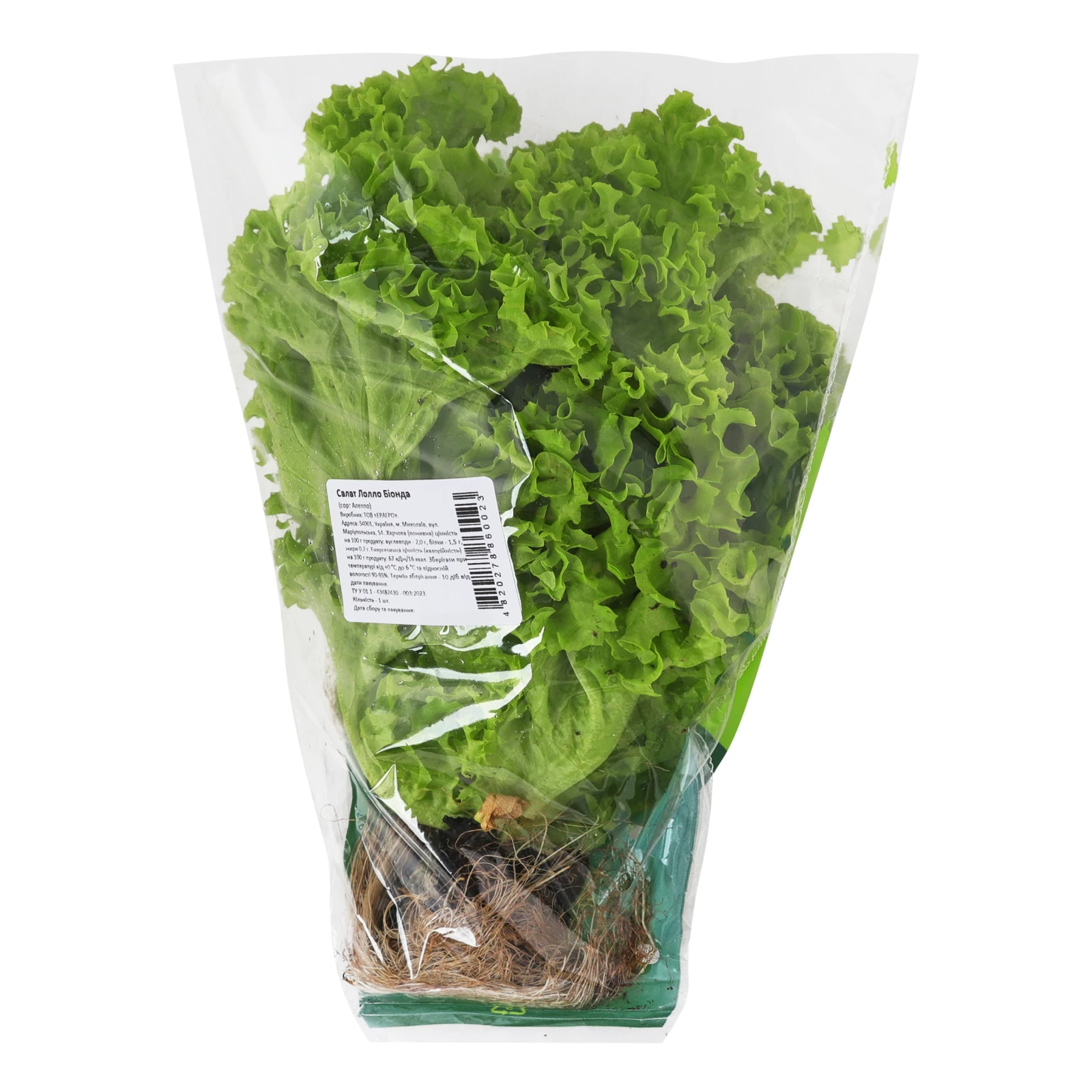 Салат Eragro Лолло Біонда свіжий Фото №:2