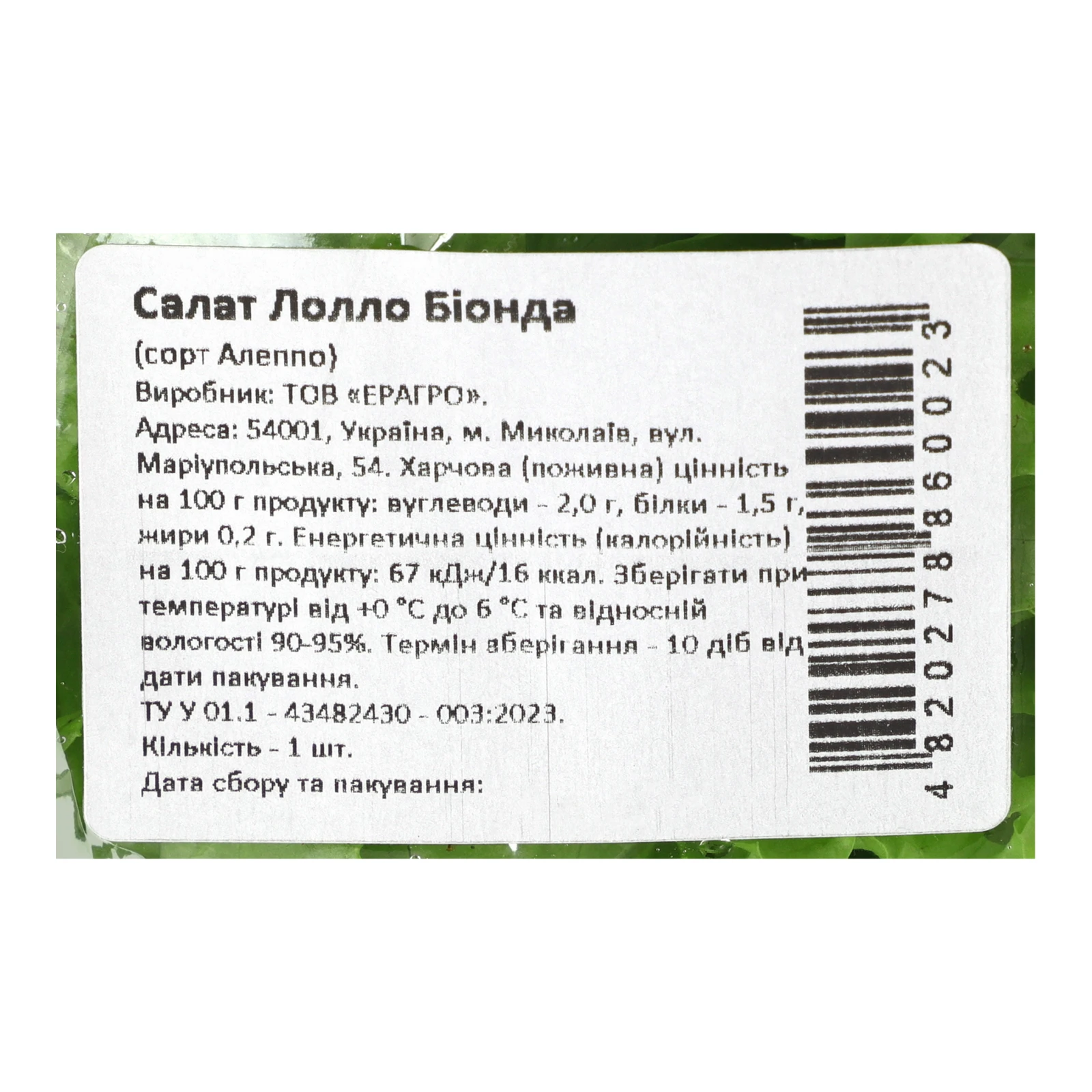 Салат Eragro Лолло Біонда свіжий Фото №:3