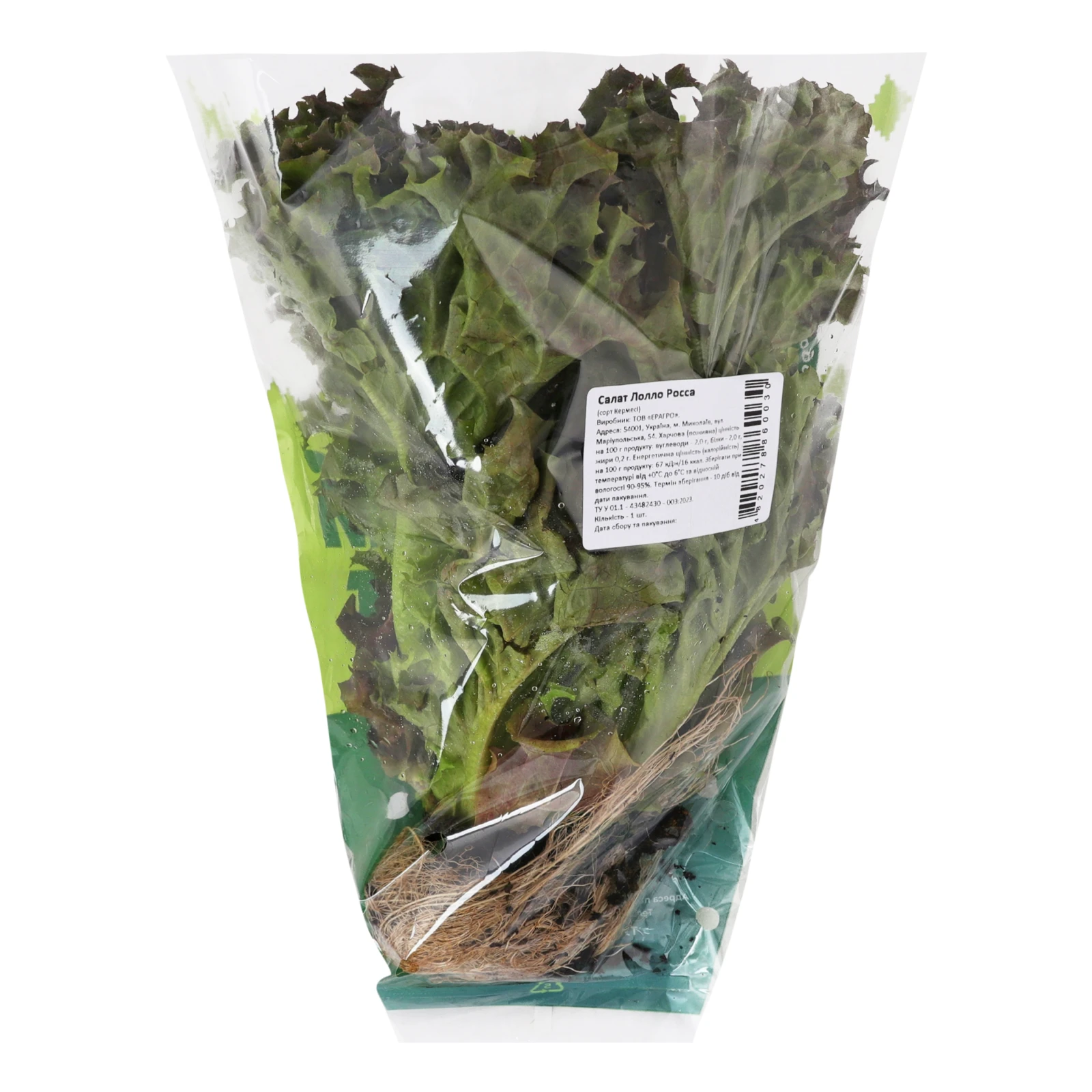 Салат Eragro Лолло Росса свіжий Фото №:2