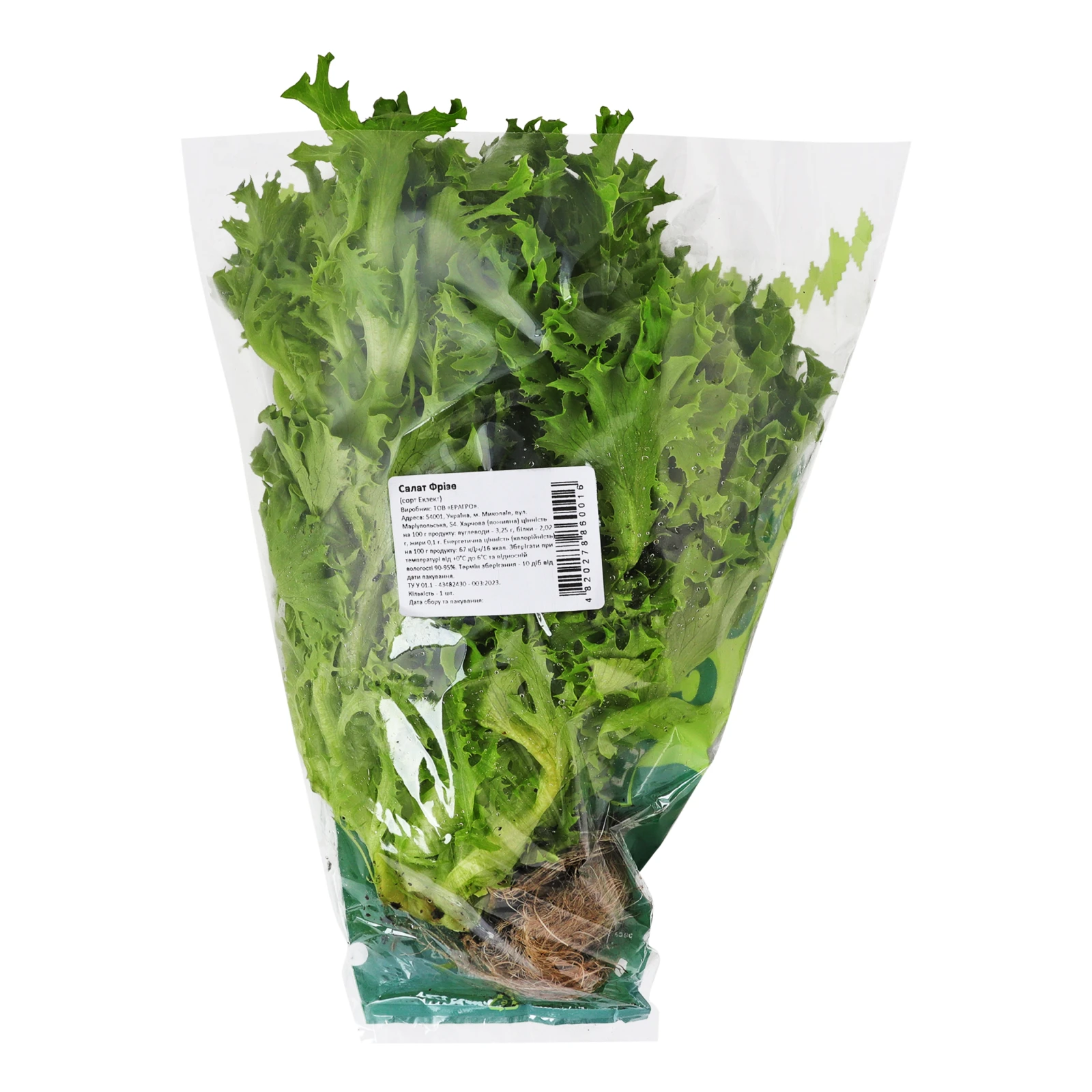 Салат Eragro Фрізе свіжий Фото №:2