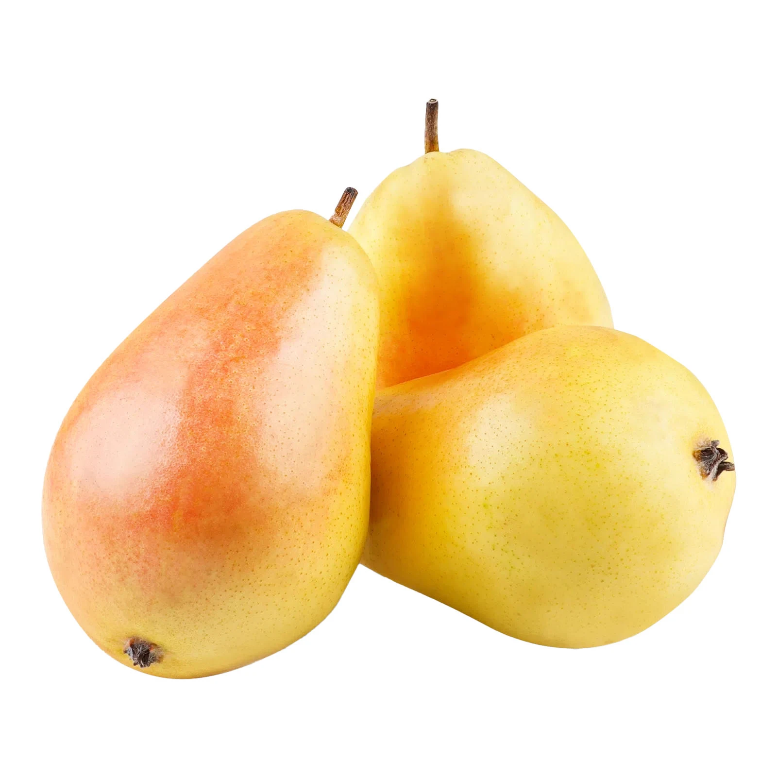 Груша Санта Марія Фото №:1