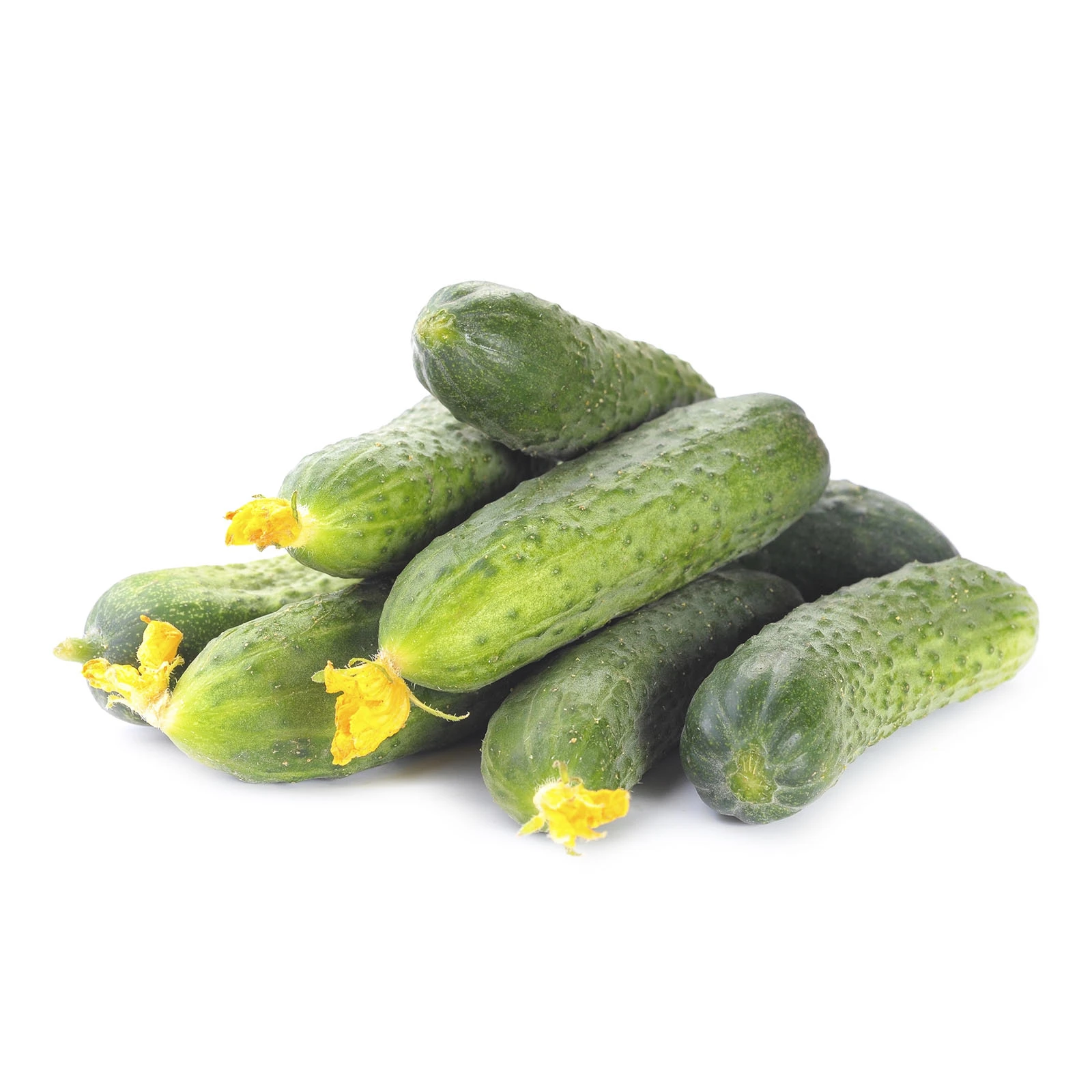 Огірок екстра Фото №:1