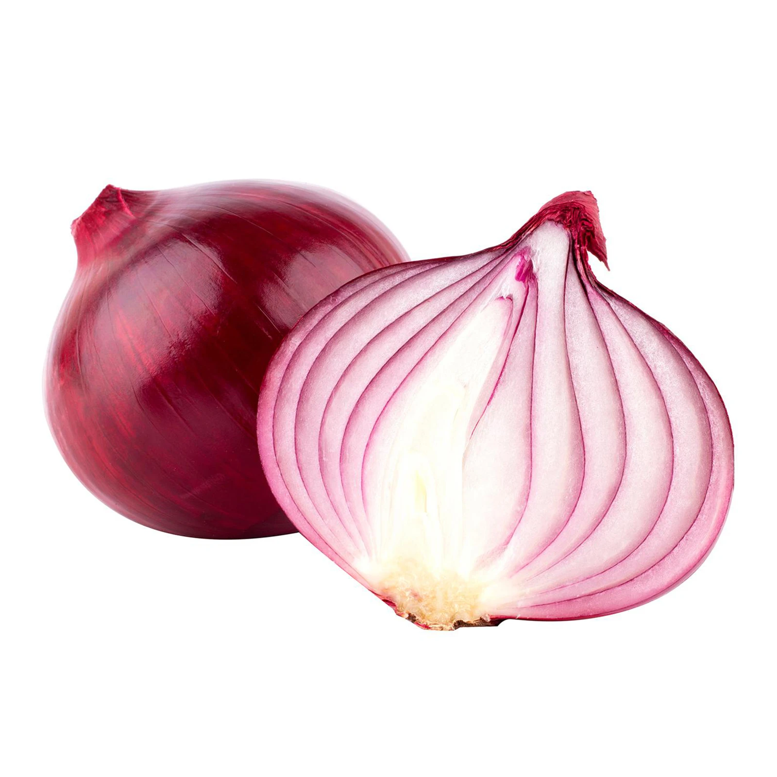 Цибуля марс 1кг Фото №:2