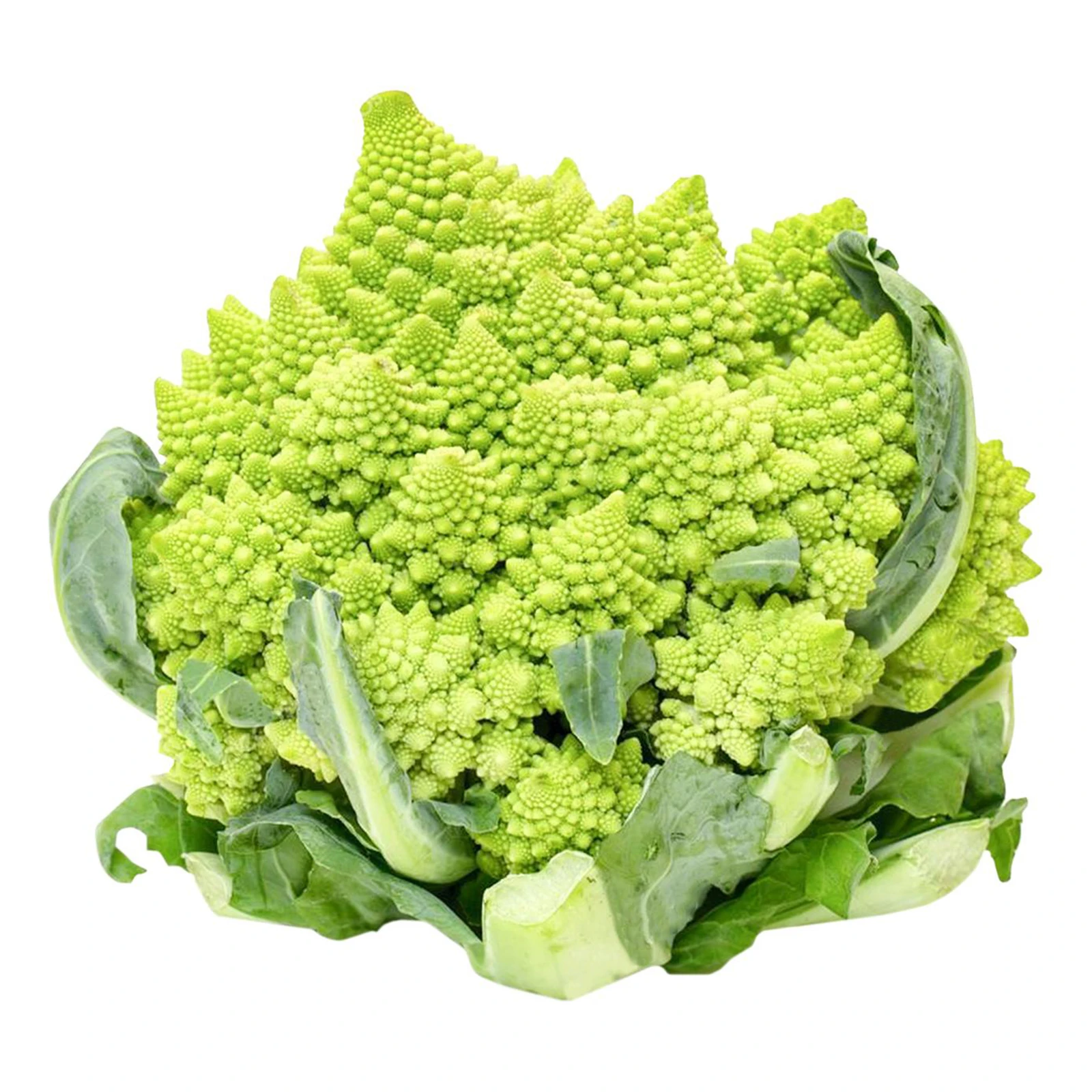 Капуста цвітна Романеско Фото №:1