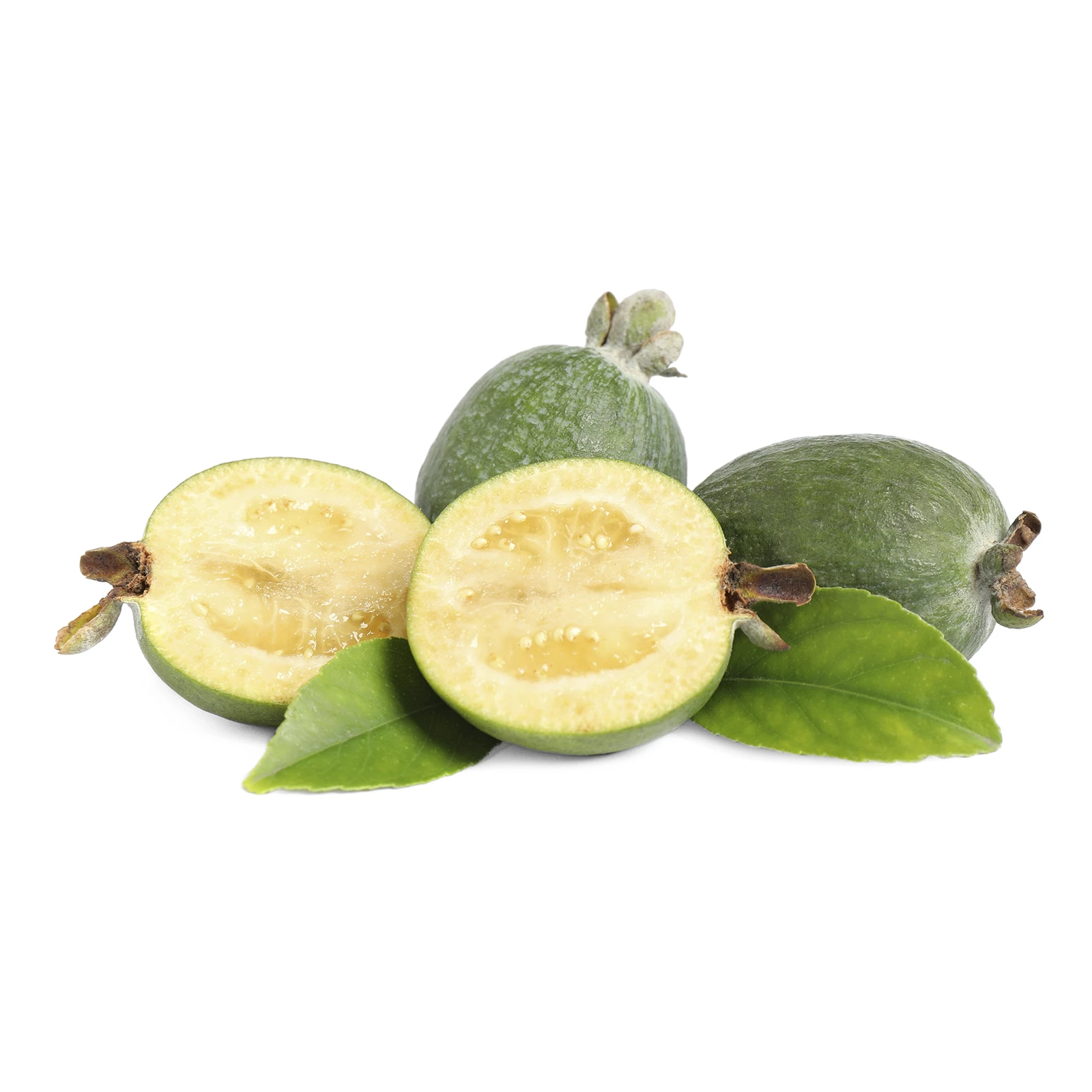 Фейхоа Фото №:1