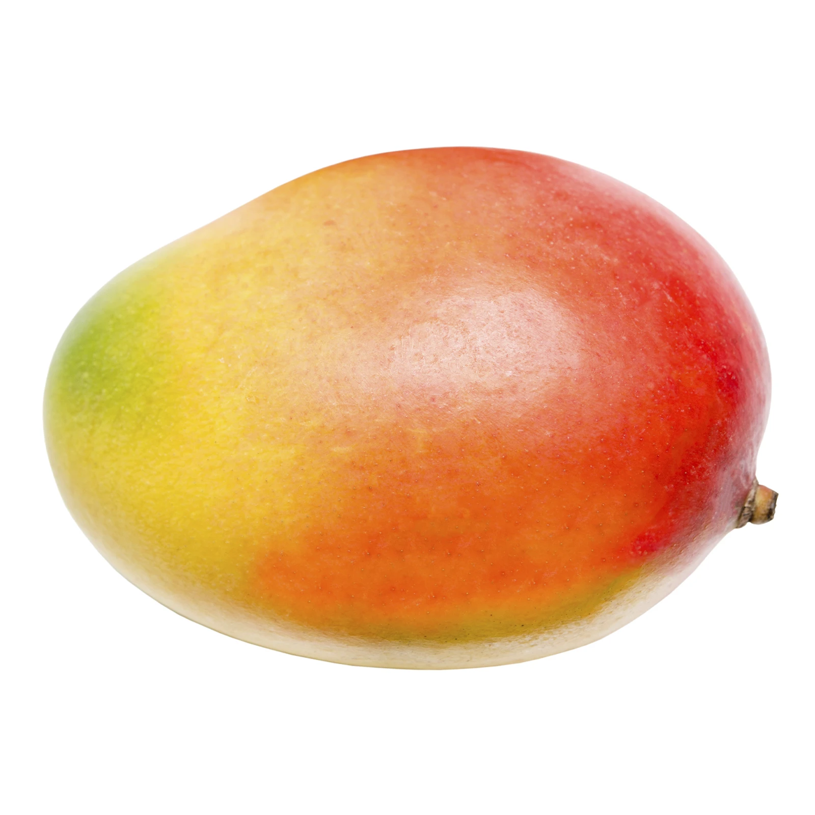 Манго Эдвард Фото №:1