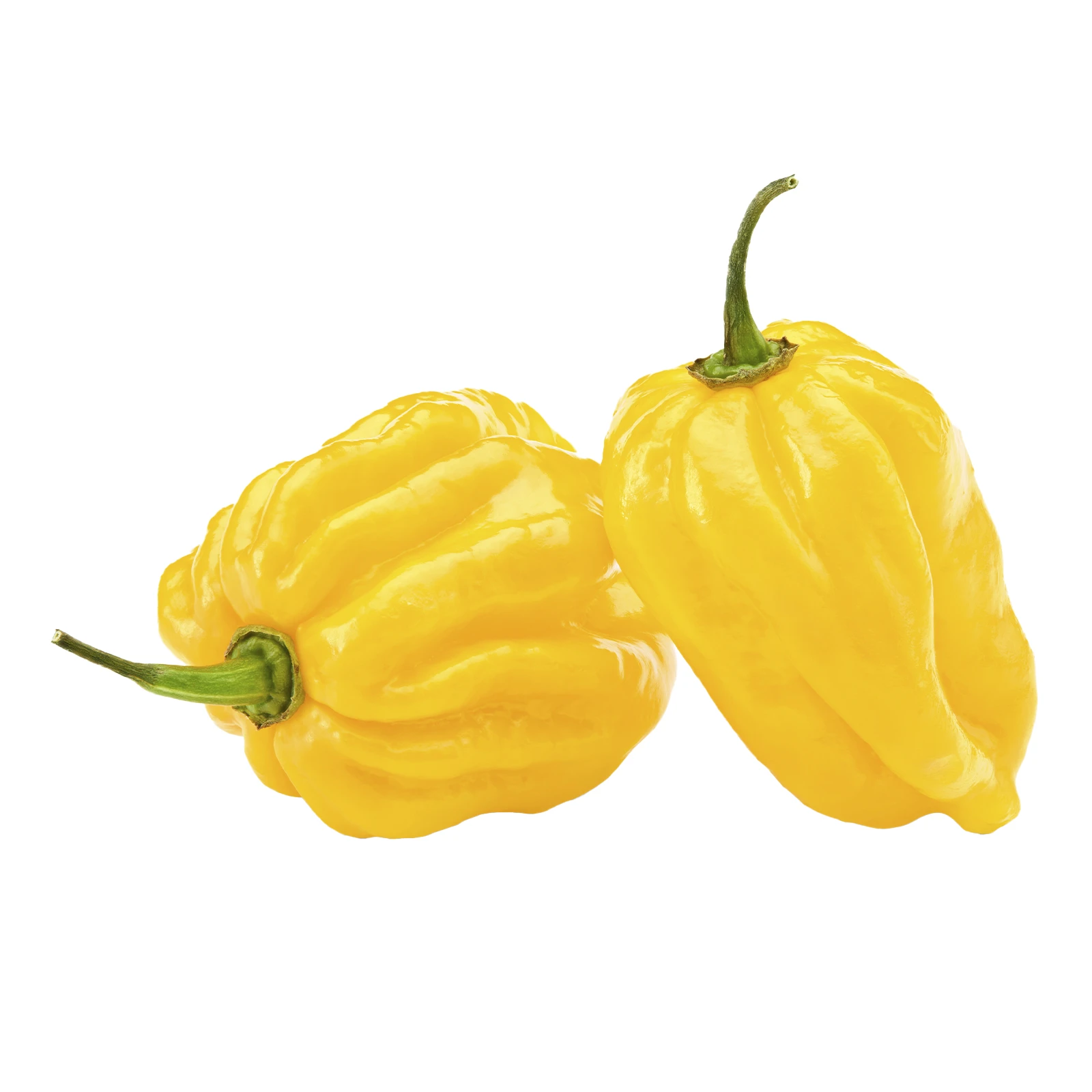 Перець Хабанеро жовтий Фото №:1