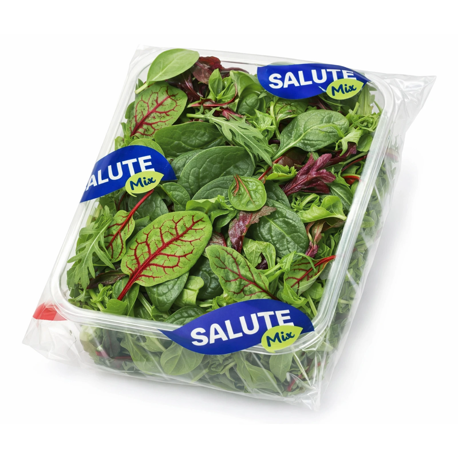 Салат Salute Mix 75г Пікатний НОВИНКА Фото №:1