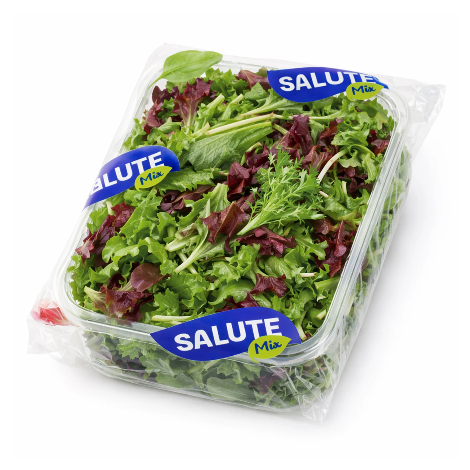Салат Salute Mix 125г Айсберг міні НОВИНКА Фото №:1