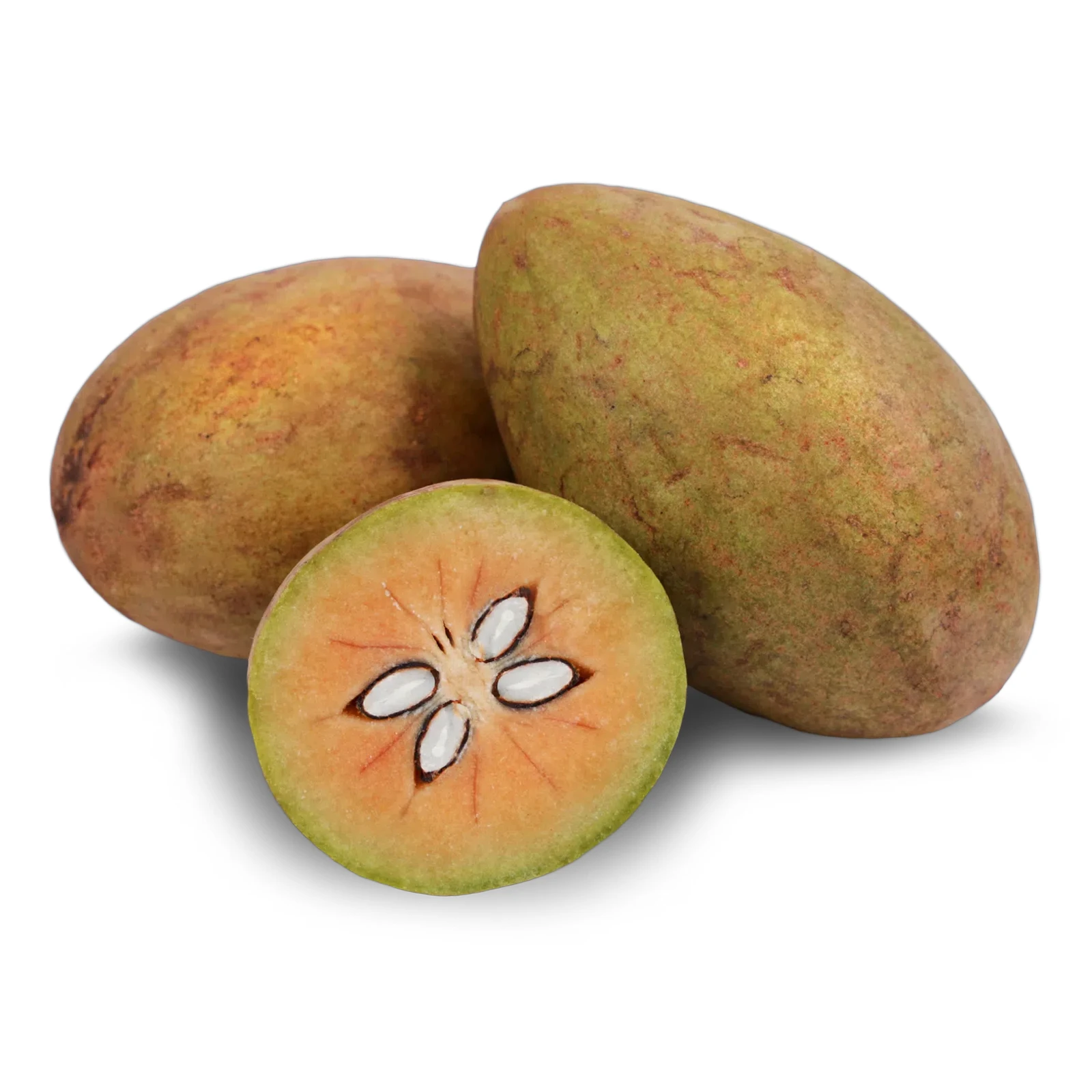 Саподіла Новинка Фото №:1