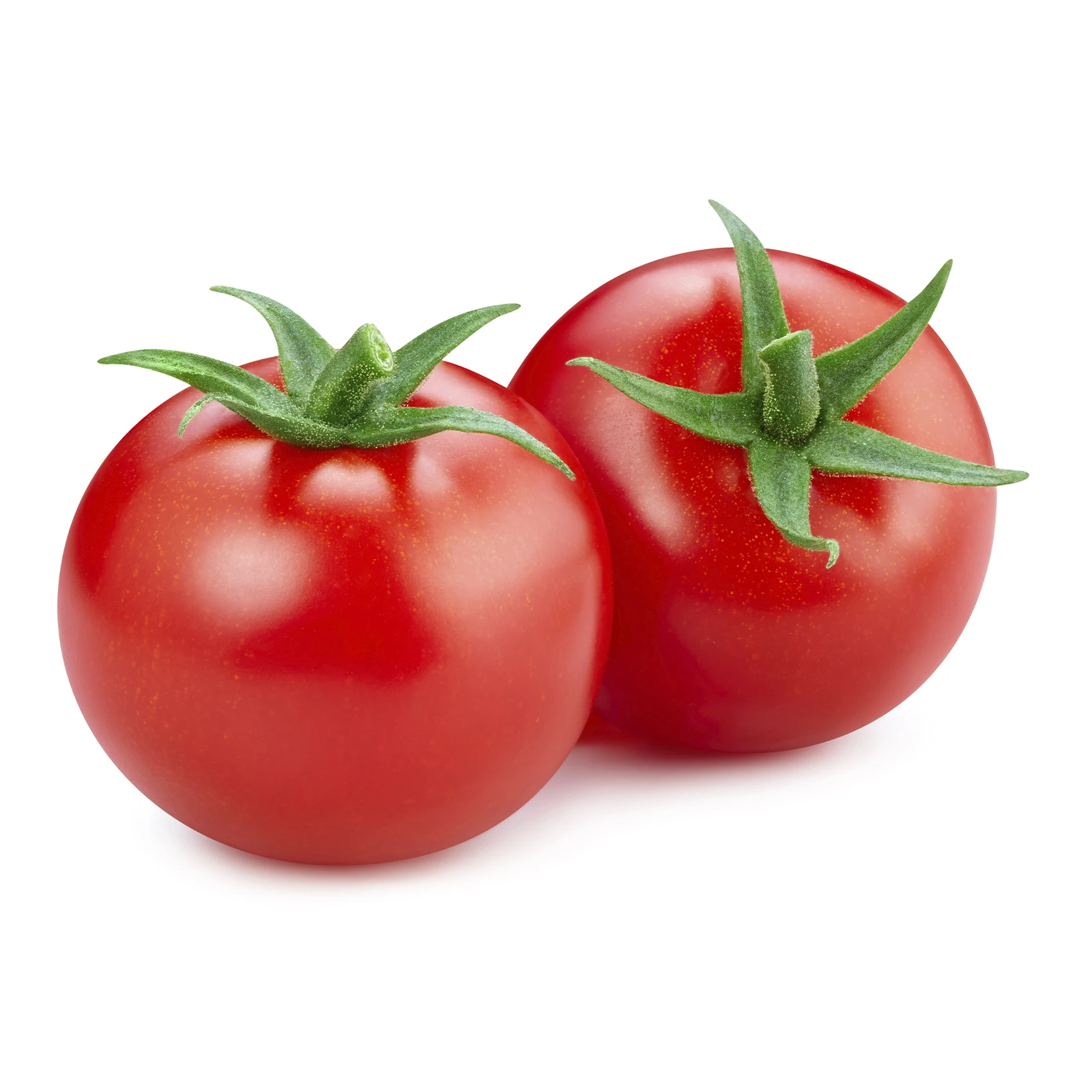 Помідор Ікрам Фото №:1