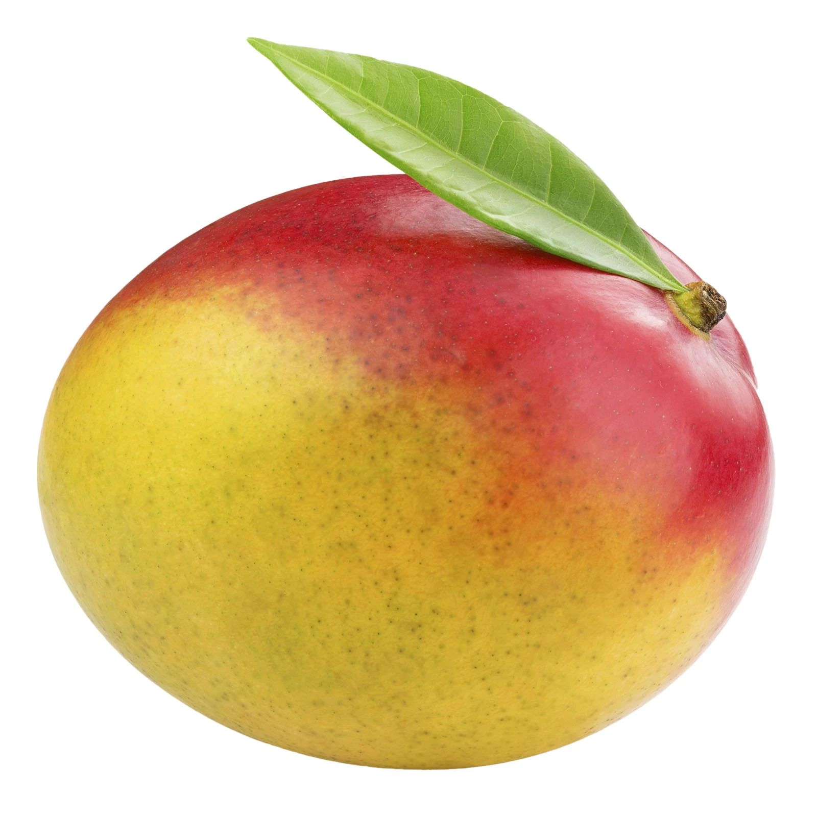 Манго Фото №:1