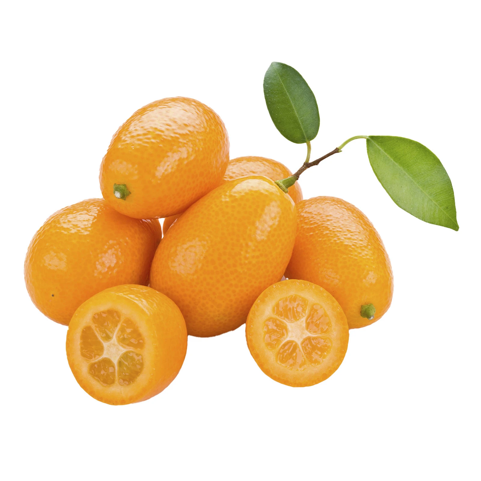 Кумкват Фото №:1