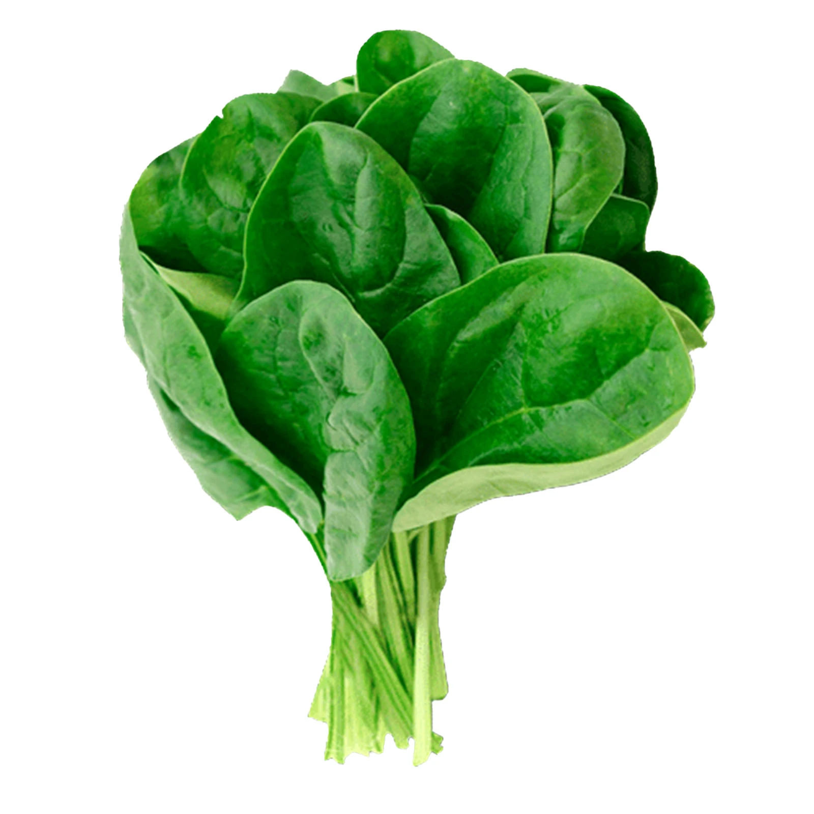 Шпинат свіжий 50г Фото №:1