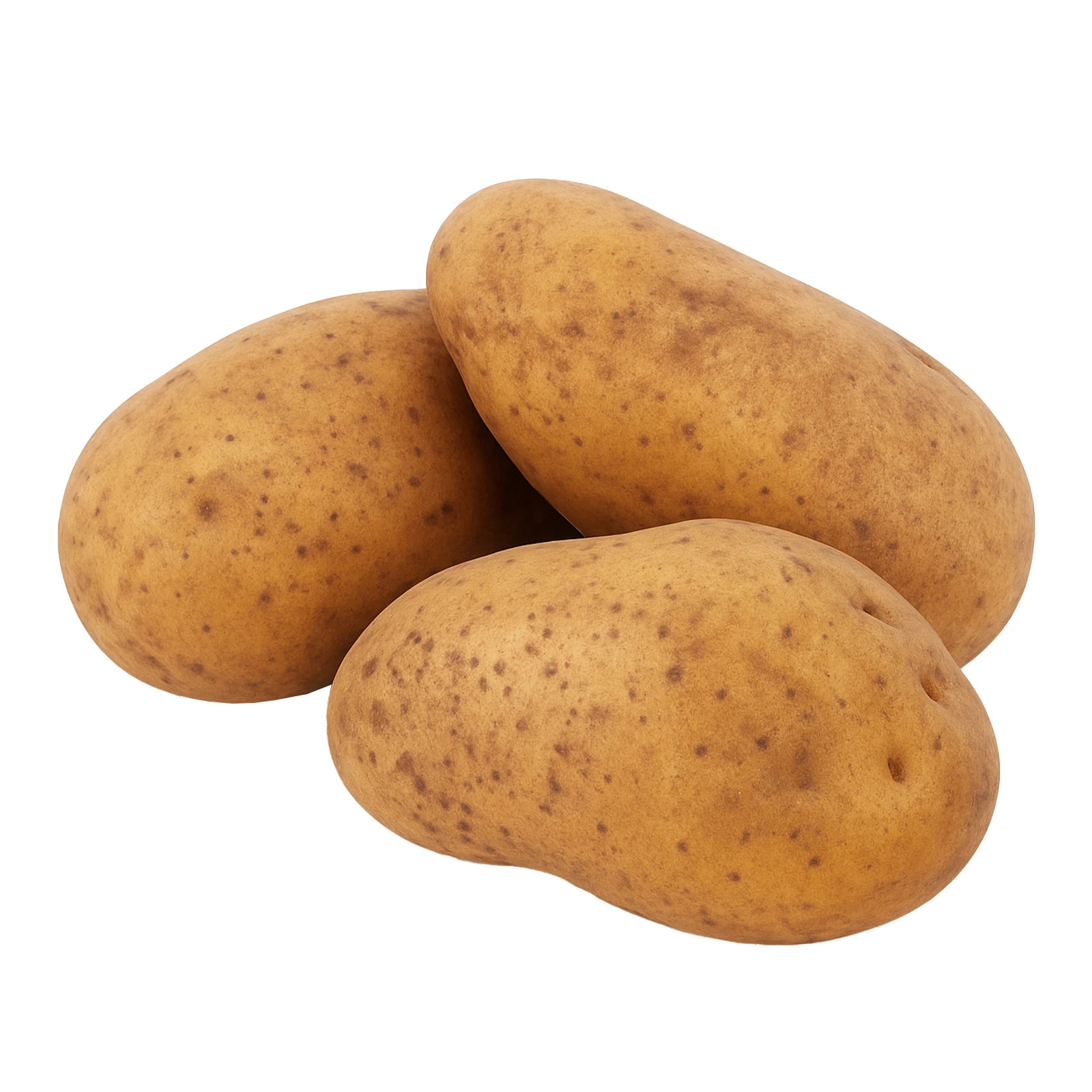 Картопля Гранада Фото №:1