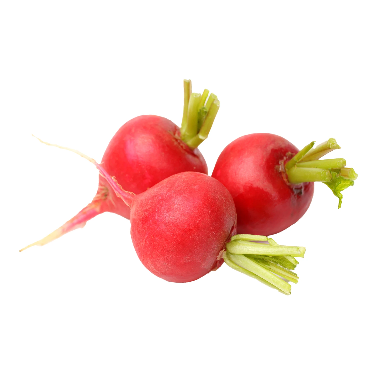 Редис молодий Україна Фото №:1