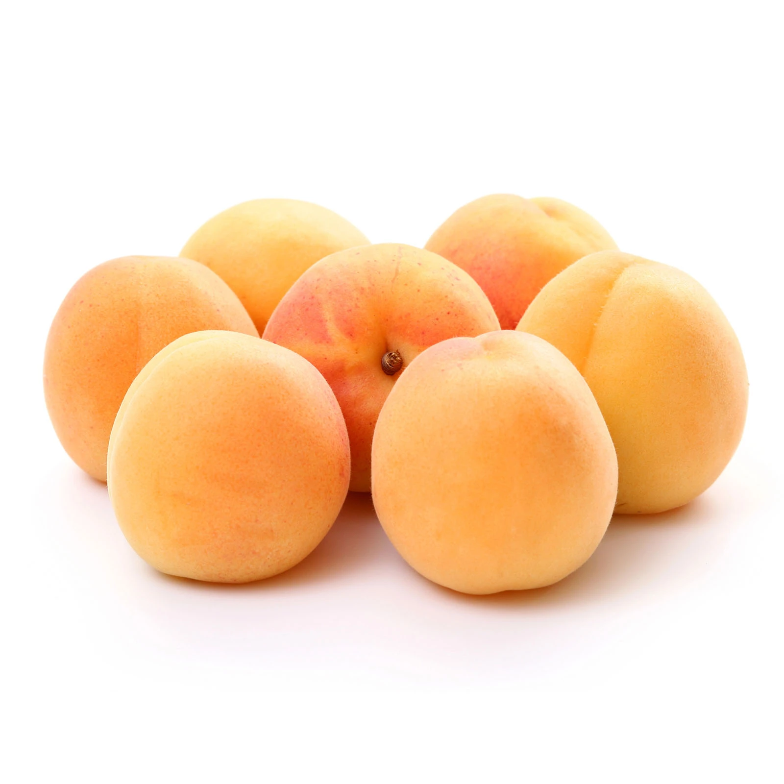 Абрикос Фото №:1