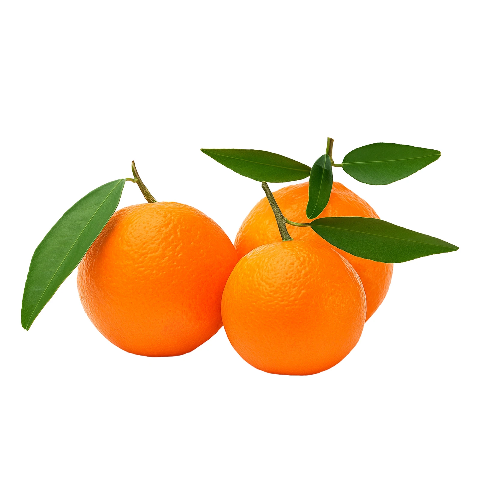 Мандарин Греція Фото №:1