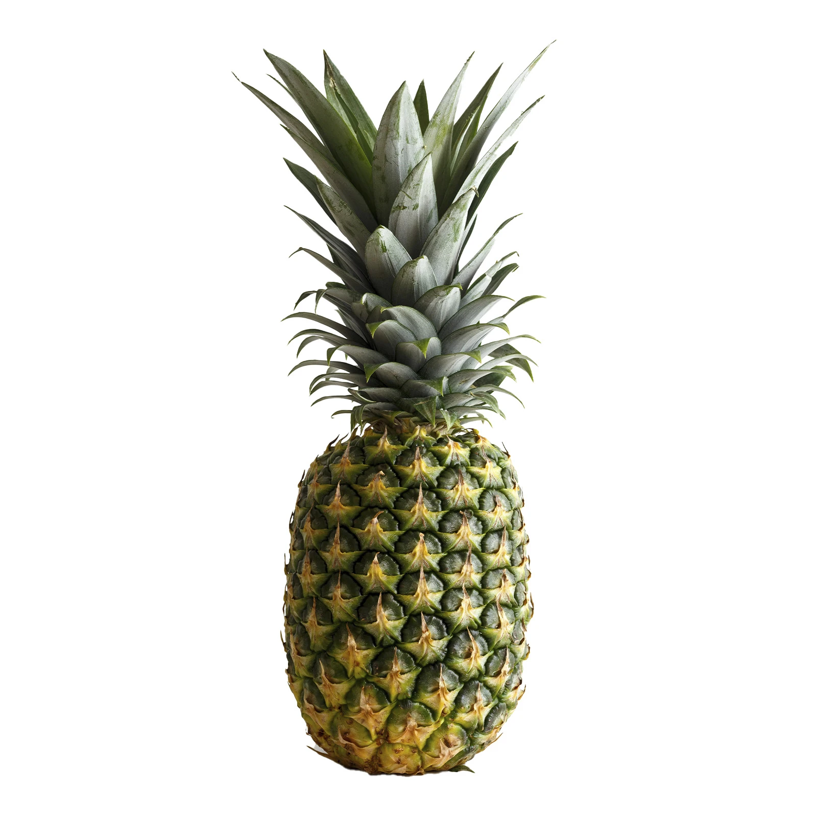 Ананас великий Фото №:1