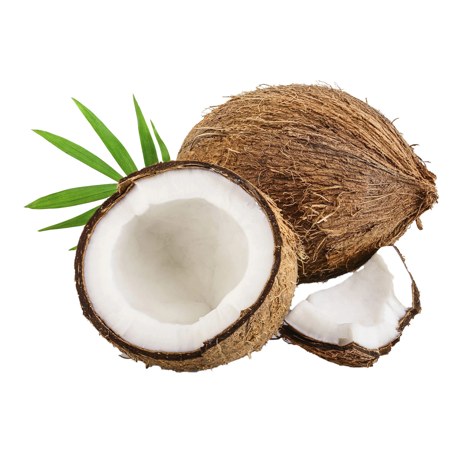 Кокос Фото №:1