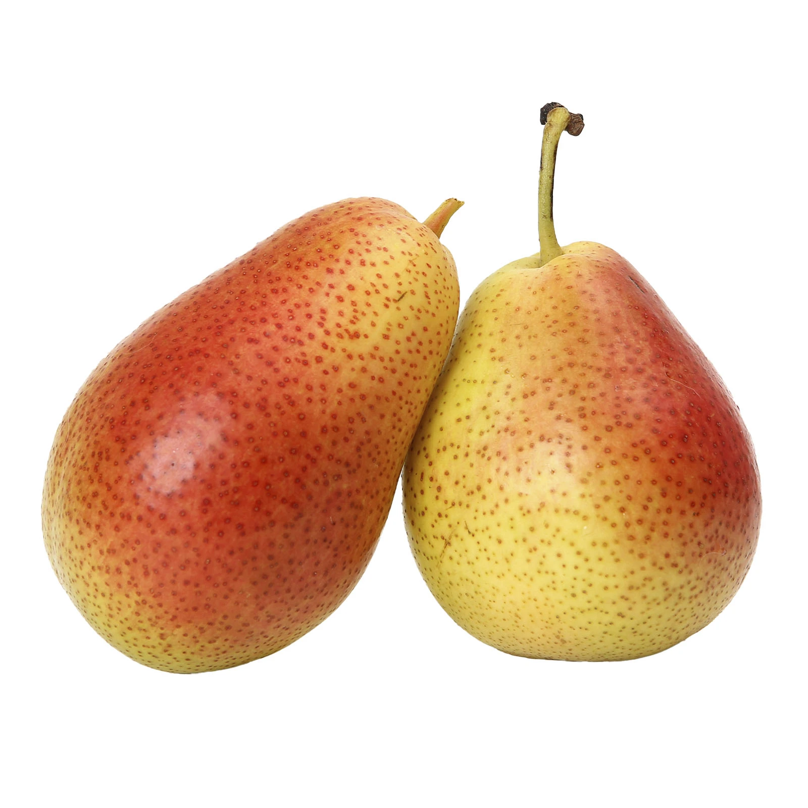 Груша Форель Фото №:1