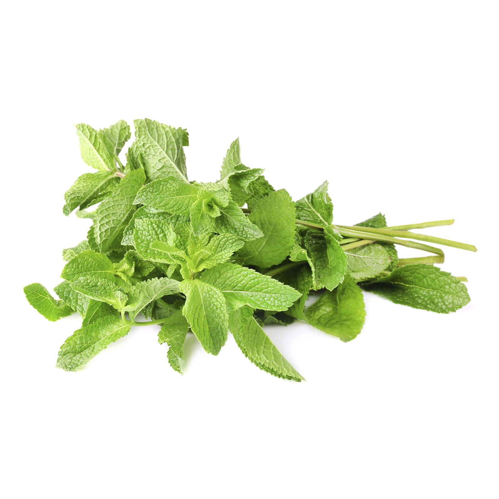 М`ята свіжа 30г