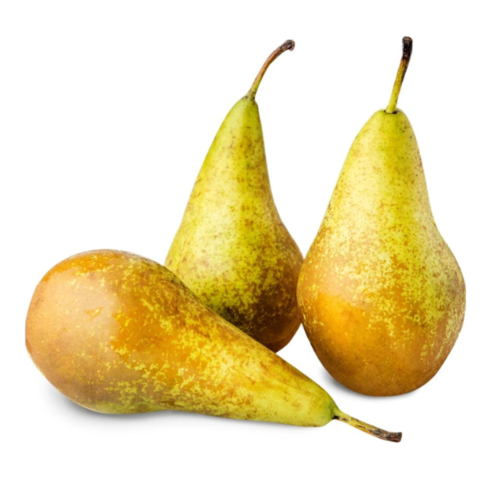 Груша Конференція Фото №:1