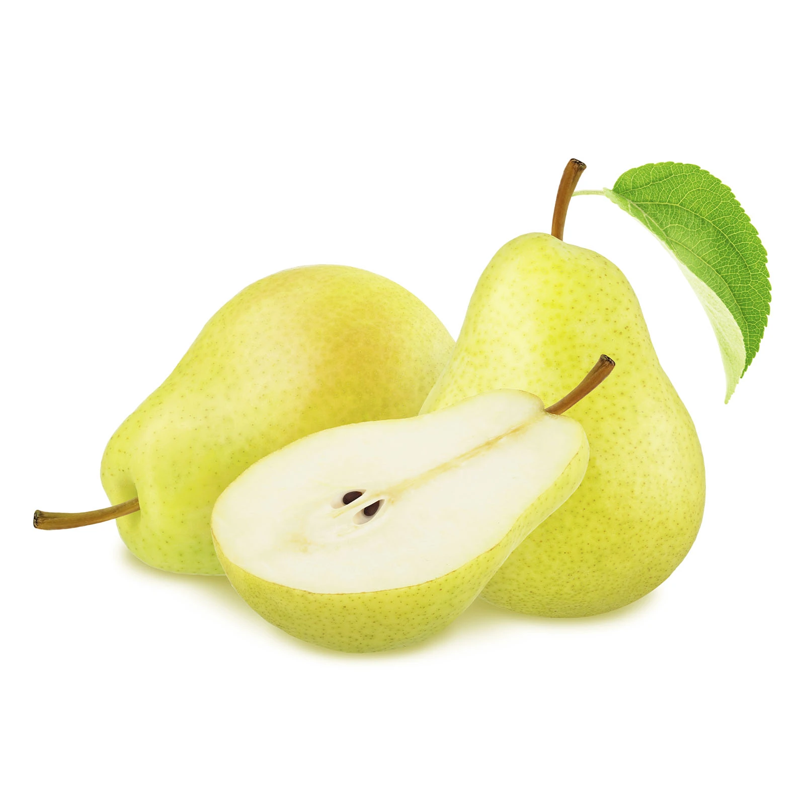 Груша Ксенія Фото №:1