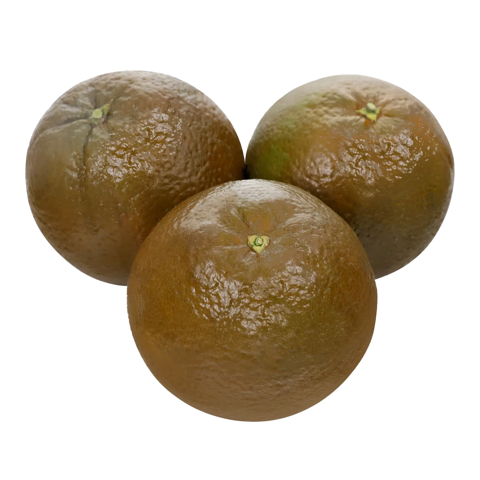 Апельсин Шоколадний Фото №:1