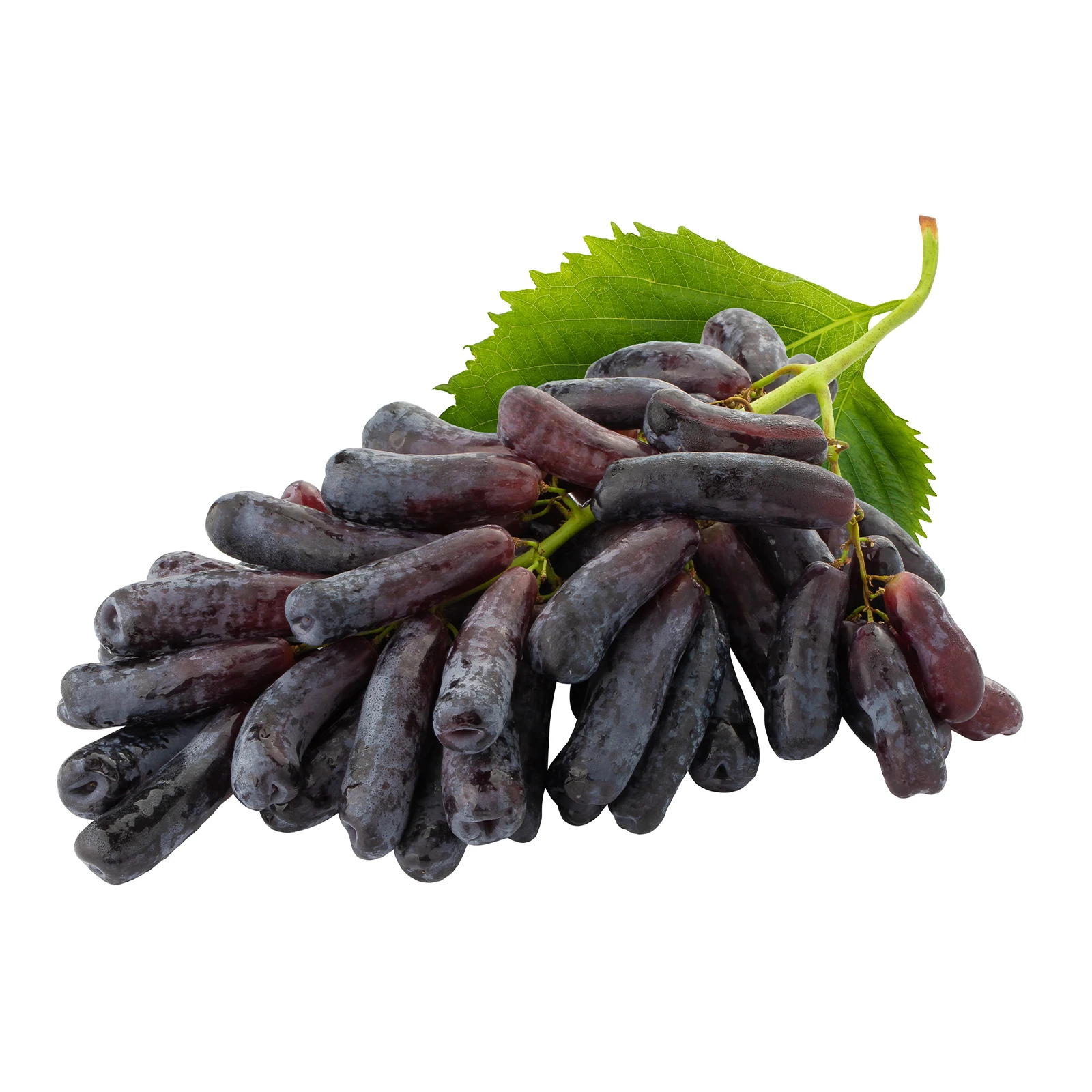 Виноград Сапфір Фото №:1