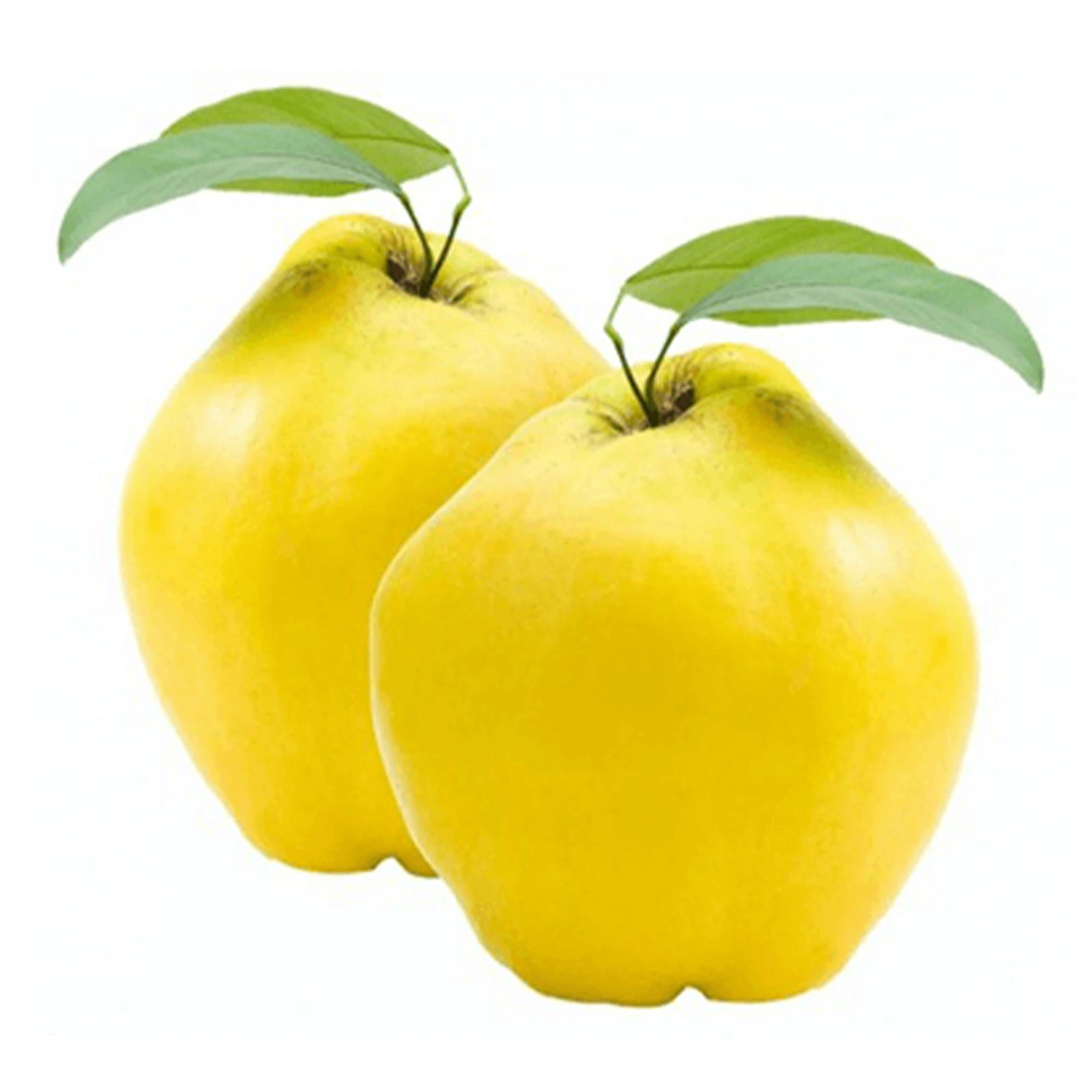 Айва імпорт Фото №:1