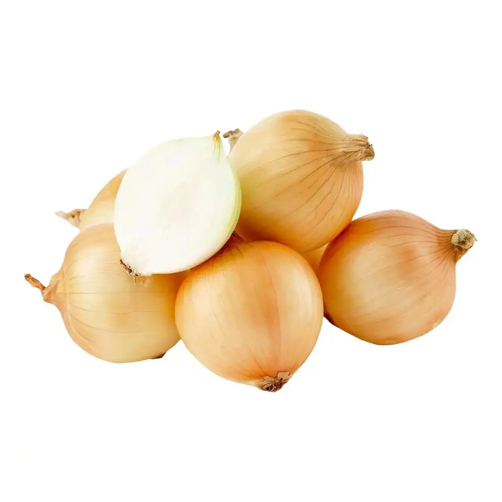 Цибуля ріпчаста Фото №:1