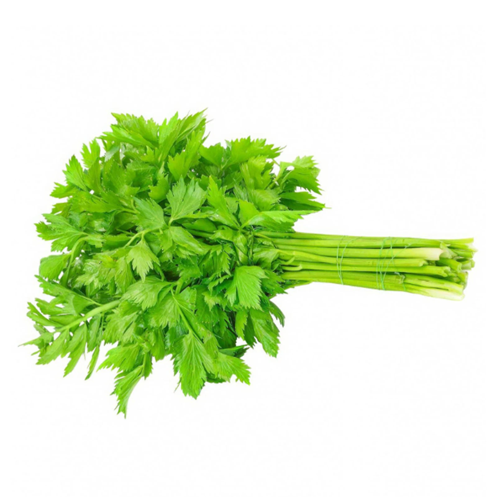 Селера свіжа 30г Фото №:1