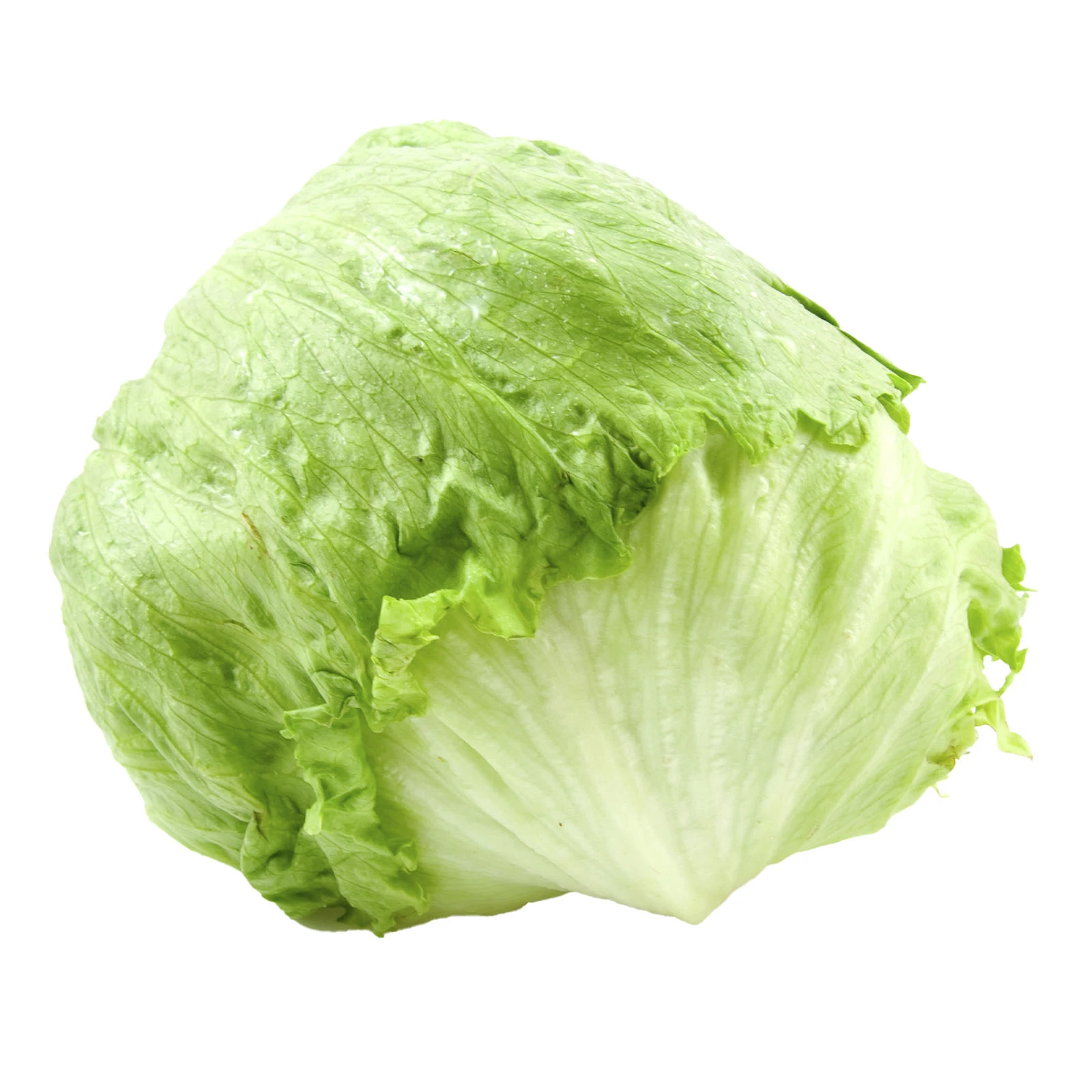 Салат Айсберг Фото №:1