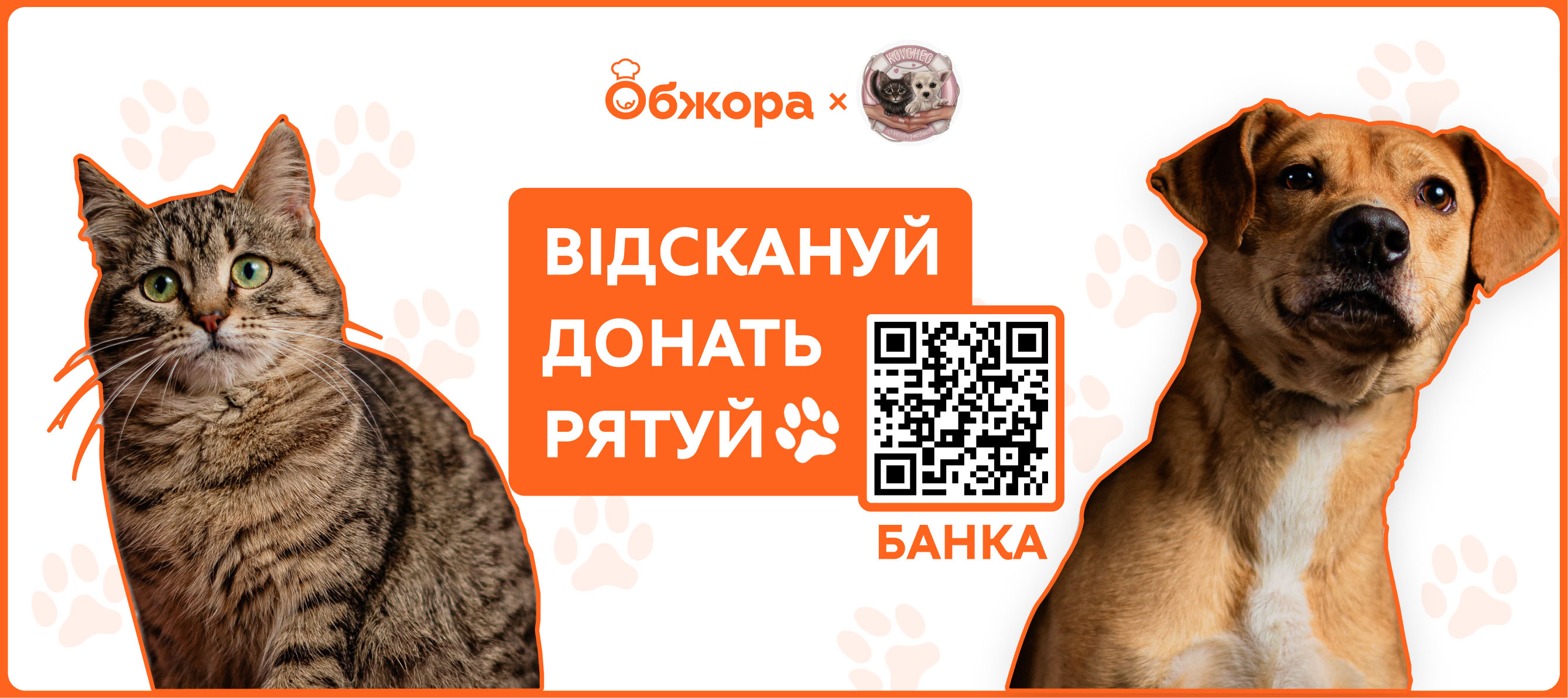  «Пухнаста колаборація»: як «Обжора» допомагає притулку «Ковчег» і як долучитися кожному 🐾